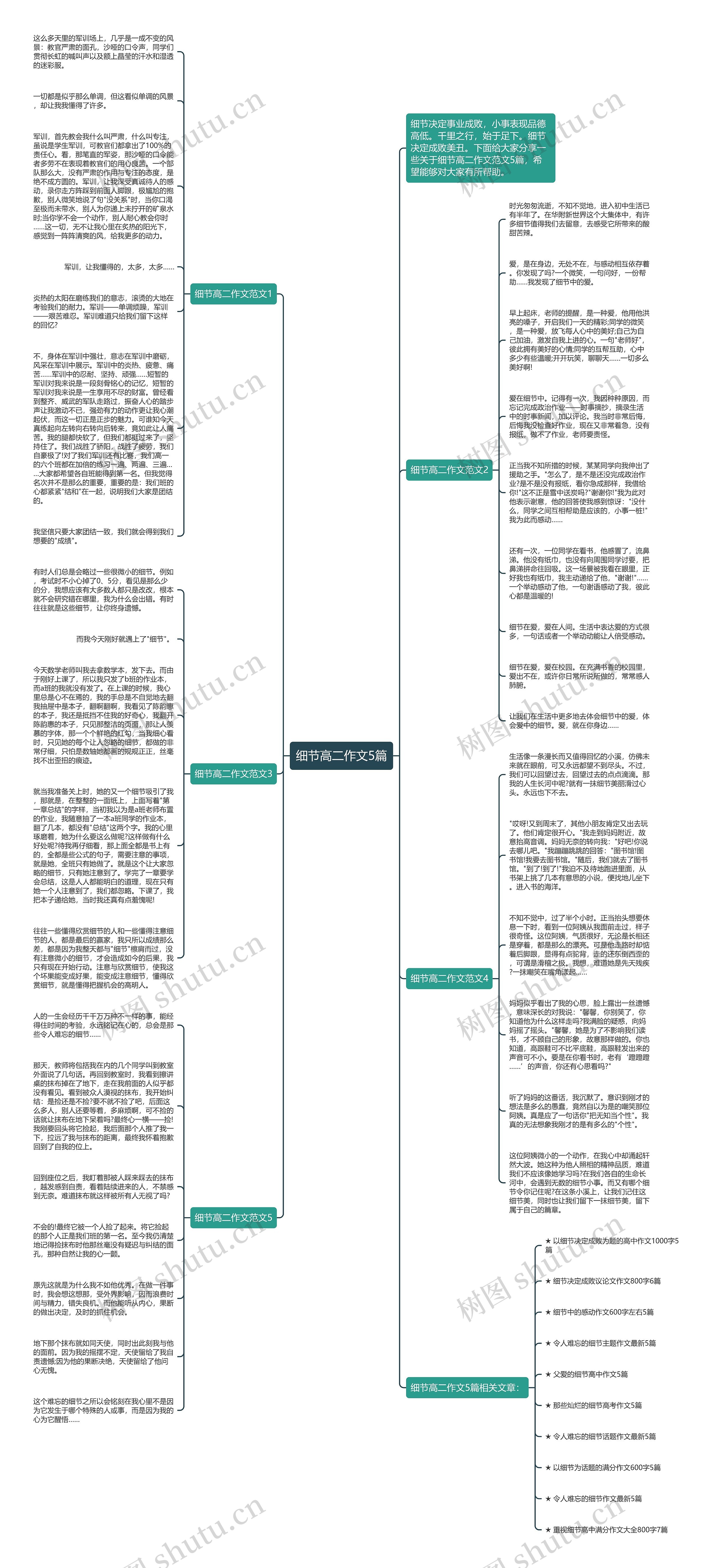 细节高二作文5篇思维导图