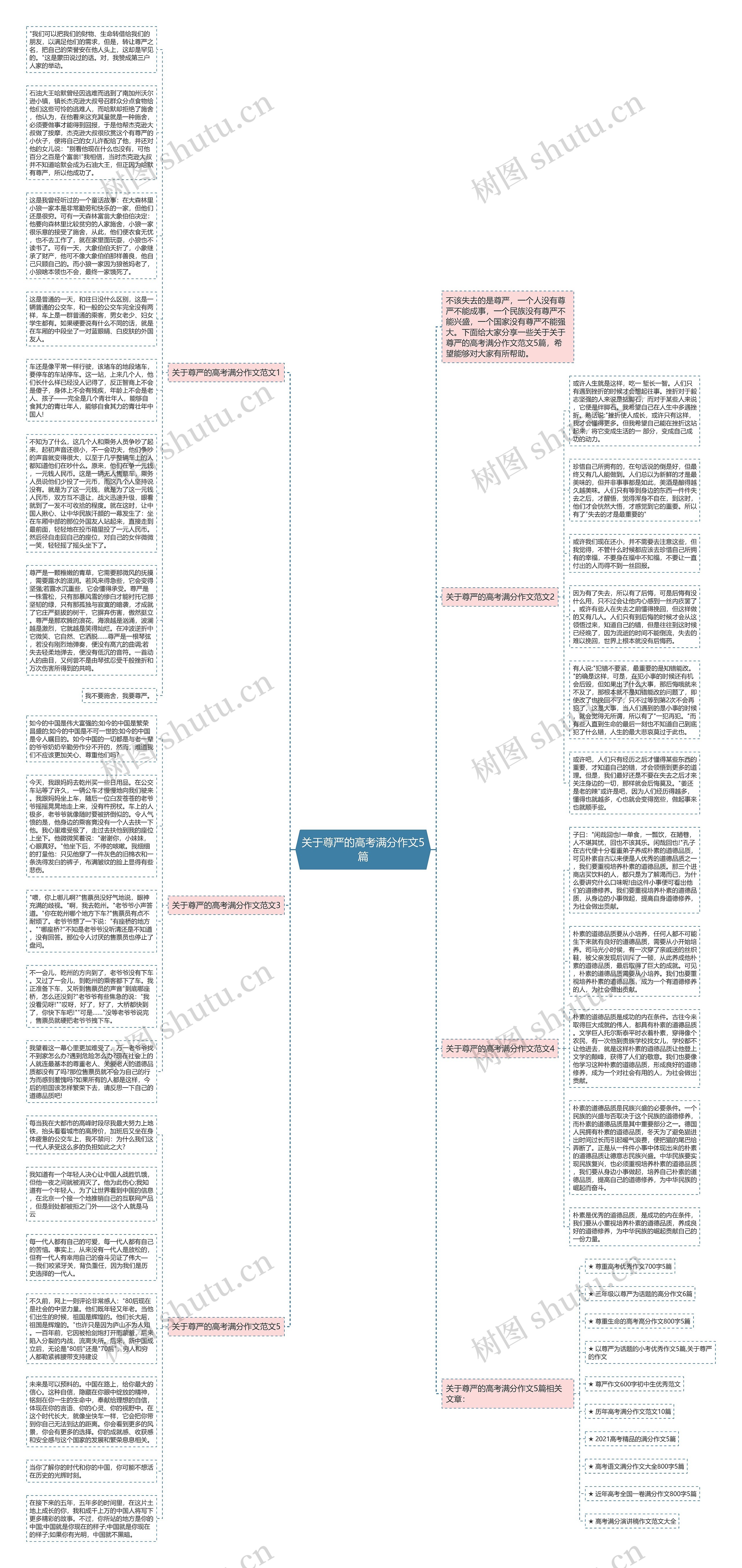 关于尊严的高考满分作文5篇思维导图