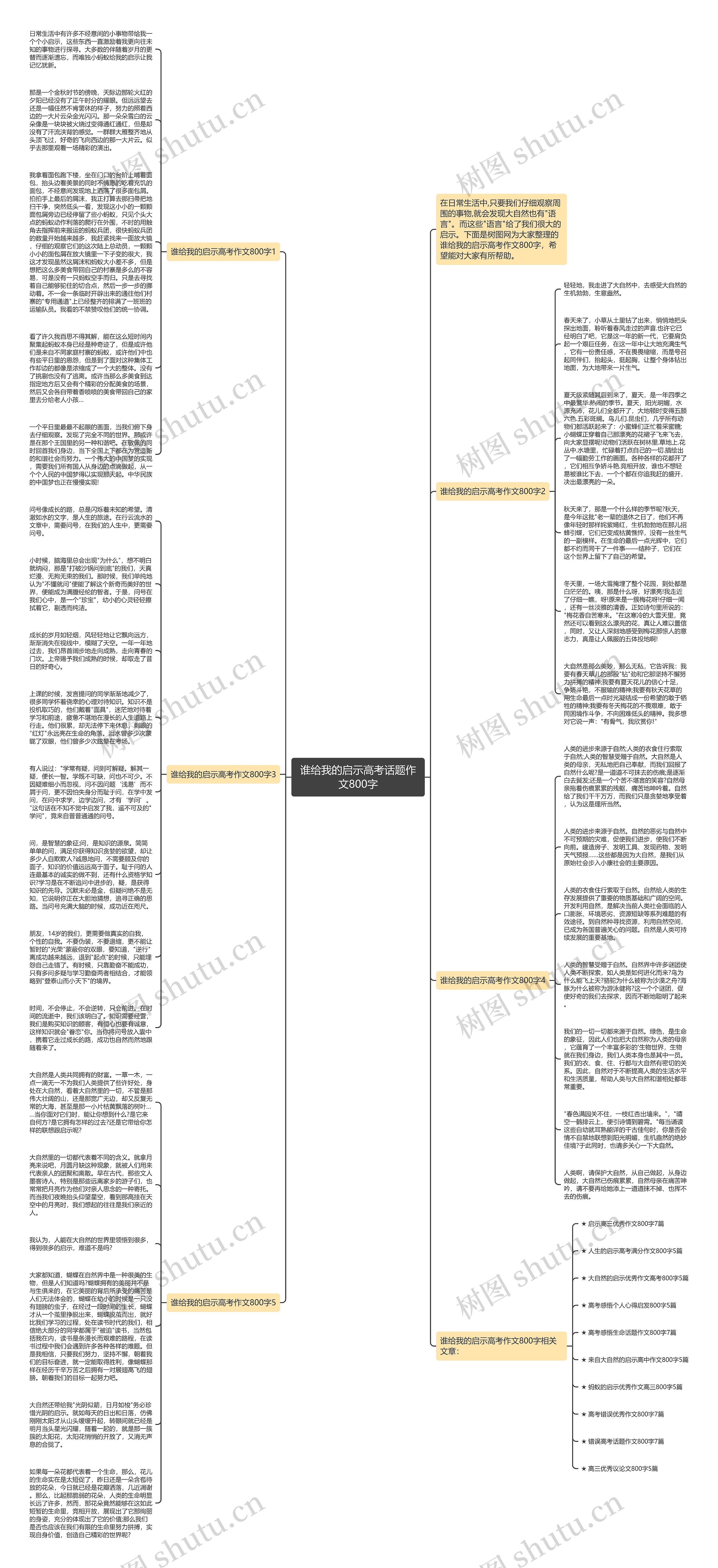 谁给我的启示高考话题作文800字思维导图