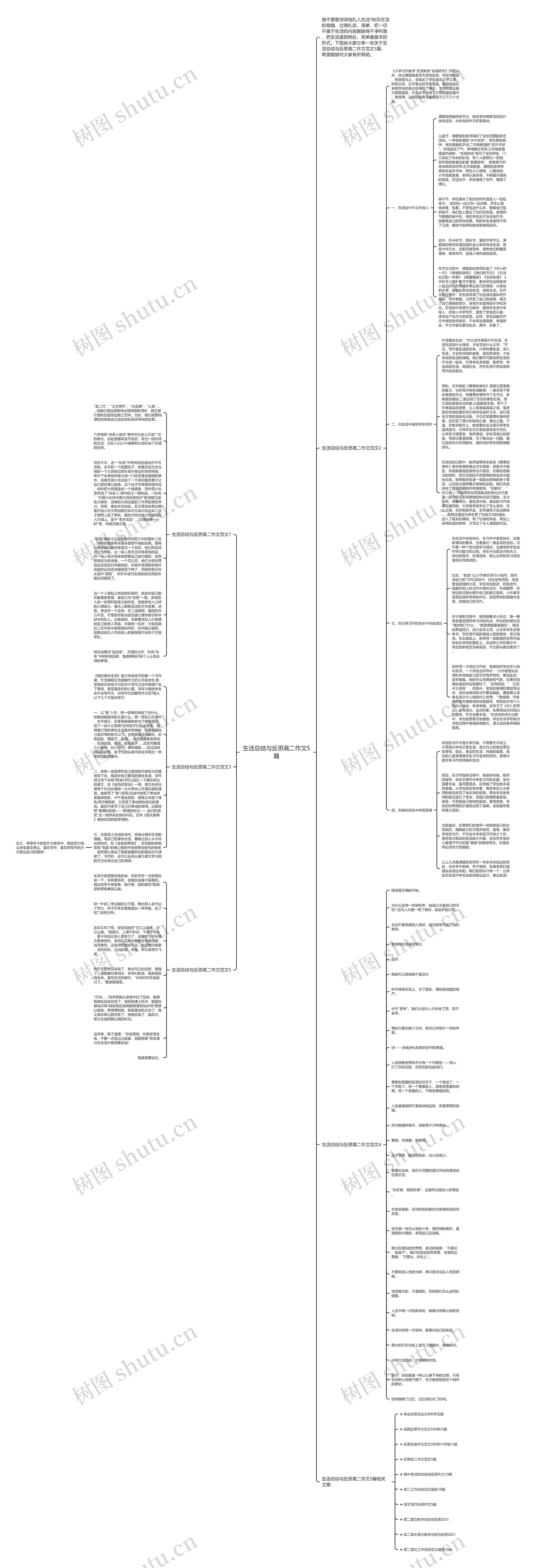 生活总结与反思高二作文5篇思维导图