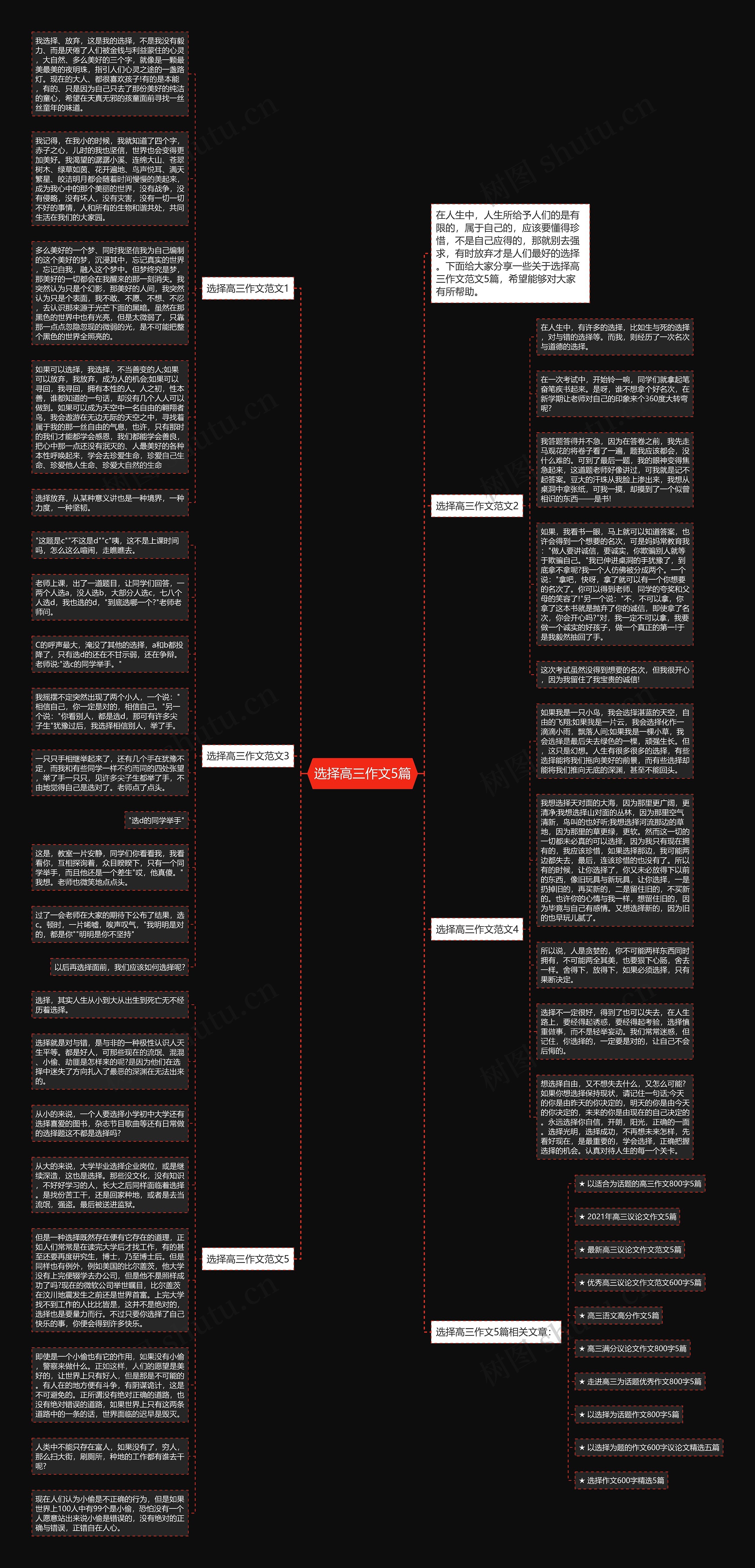 选择高三作文5篇思维导图