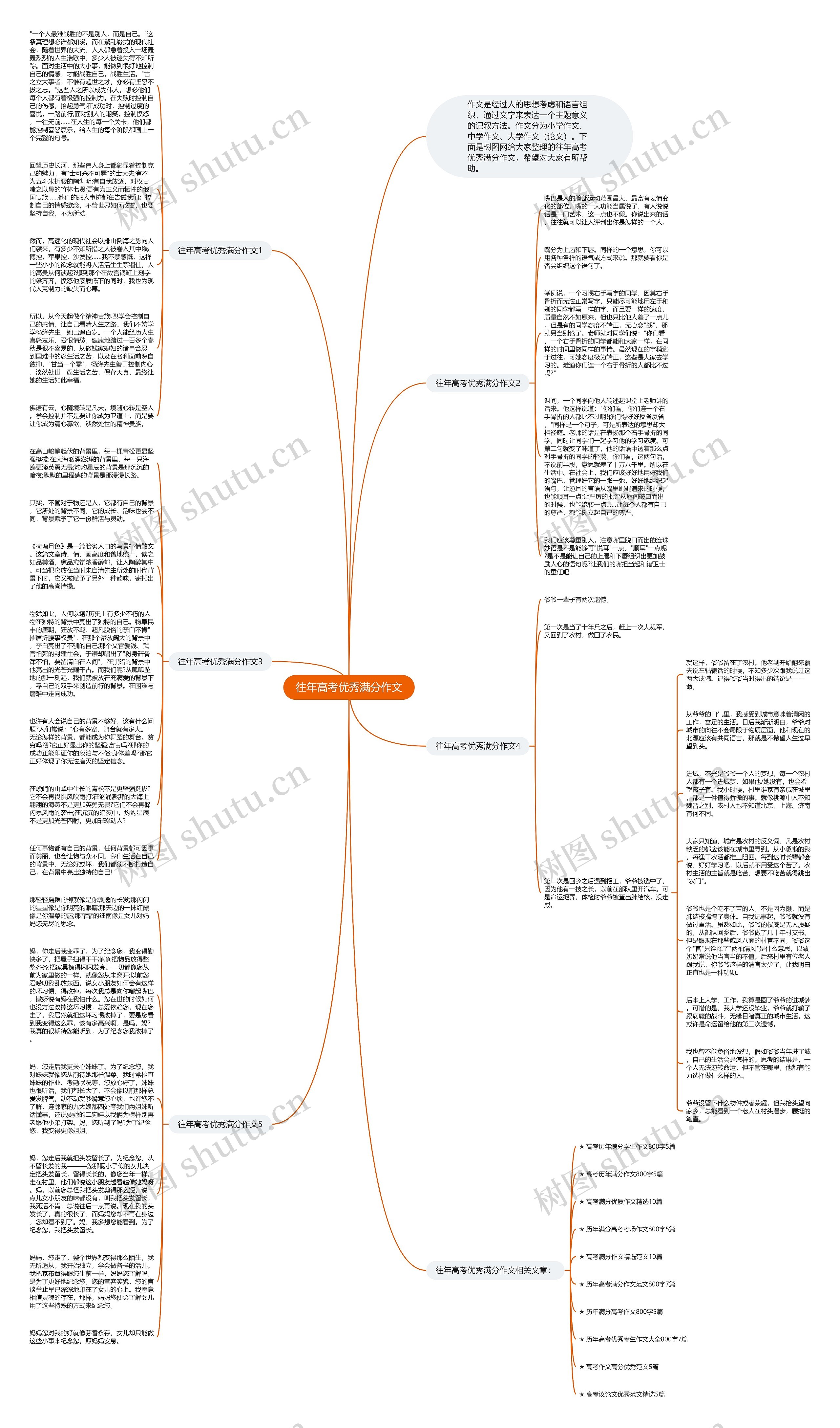 往年高考优秀满分作文思维导图