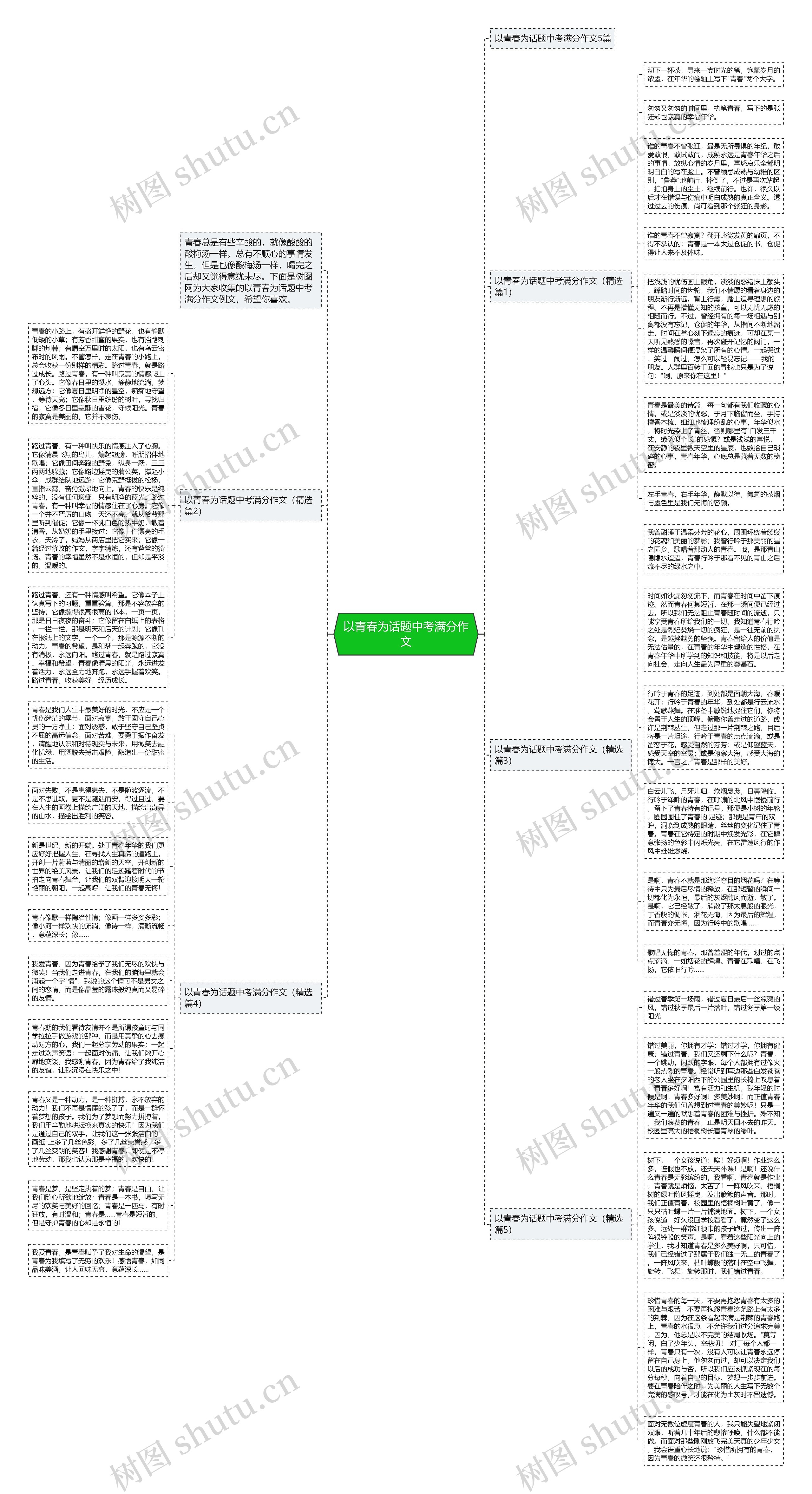 以青春为话题中考满分作文思维导图