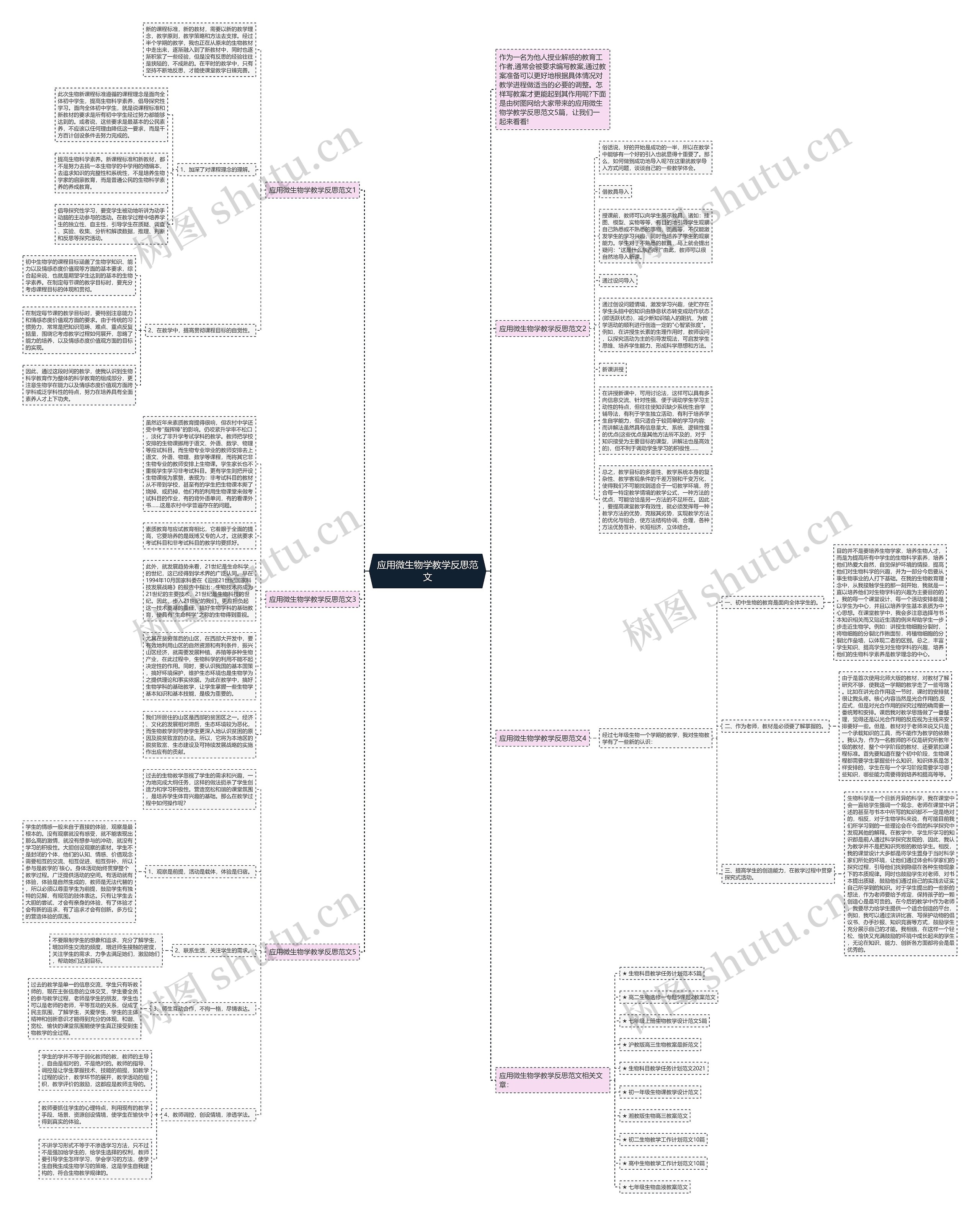应用微生物学教学反思范文思维导图