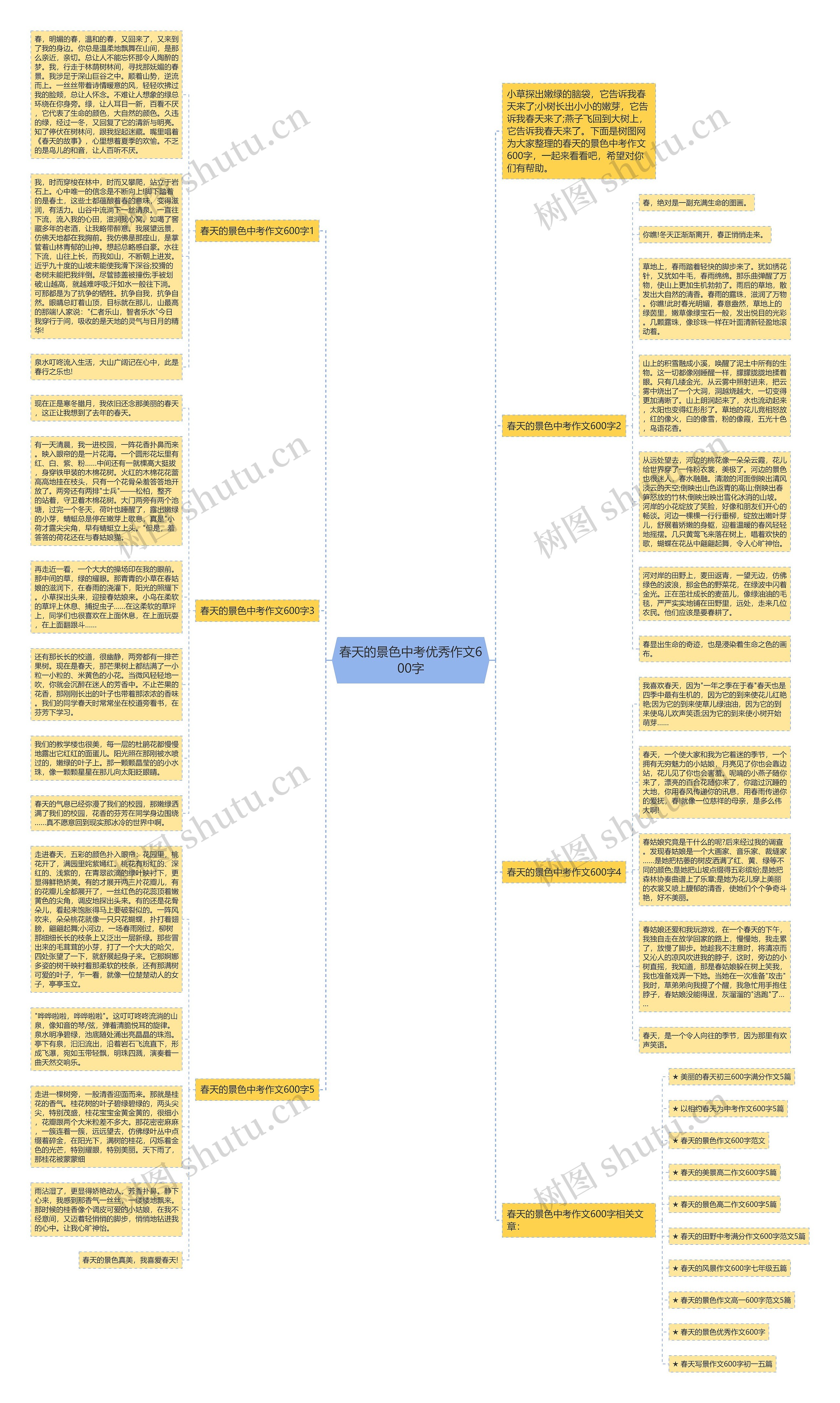 春天的景色中考优秀作文600字思维导图