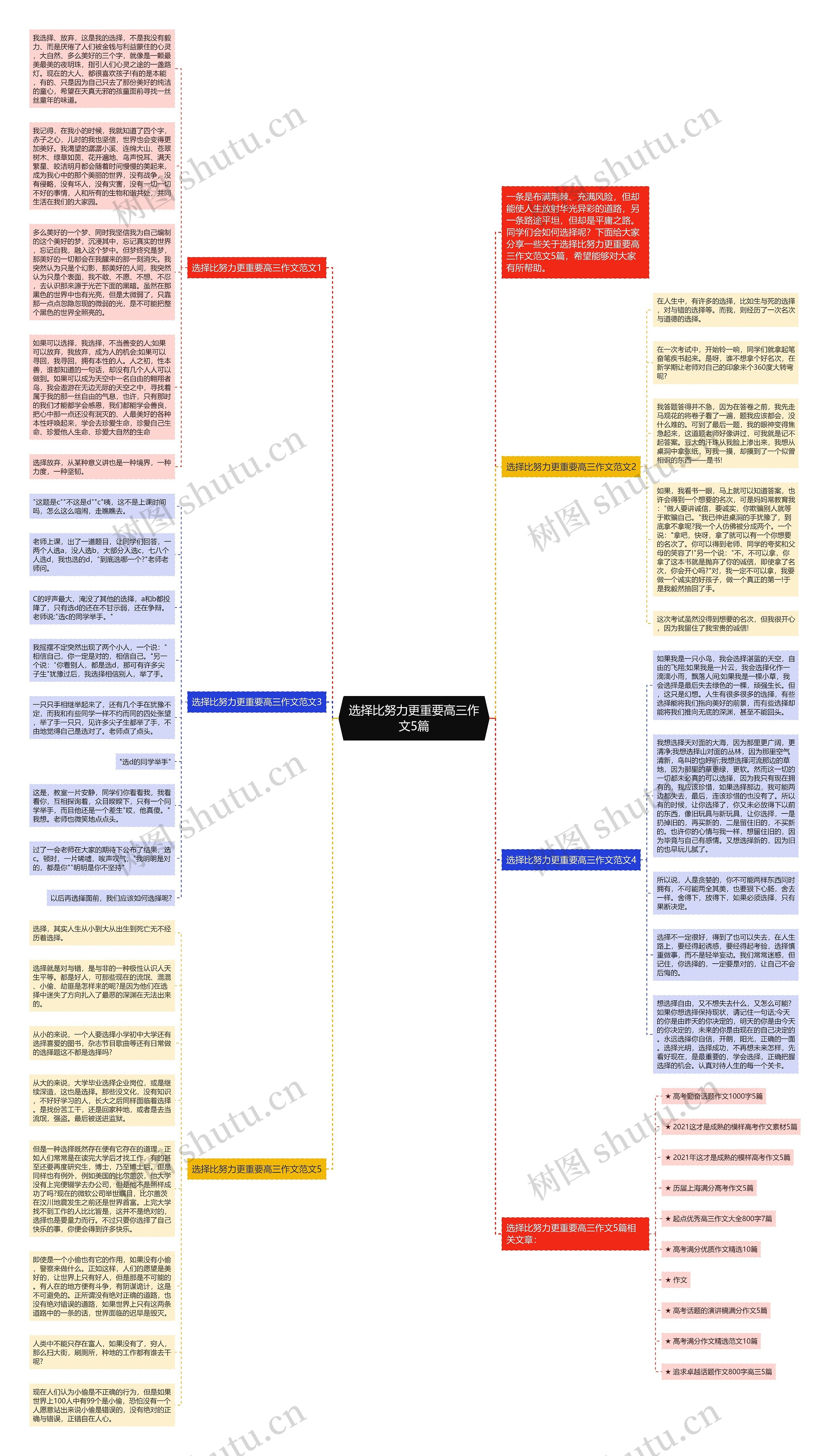 选择比努力更重要高三作文5篇思维导图