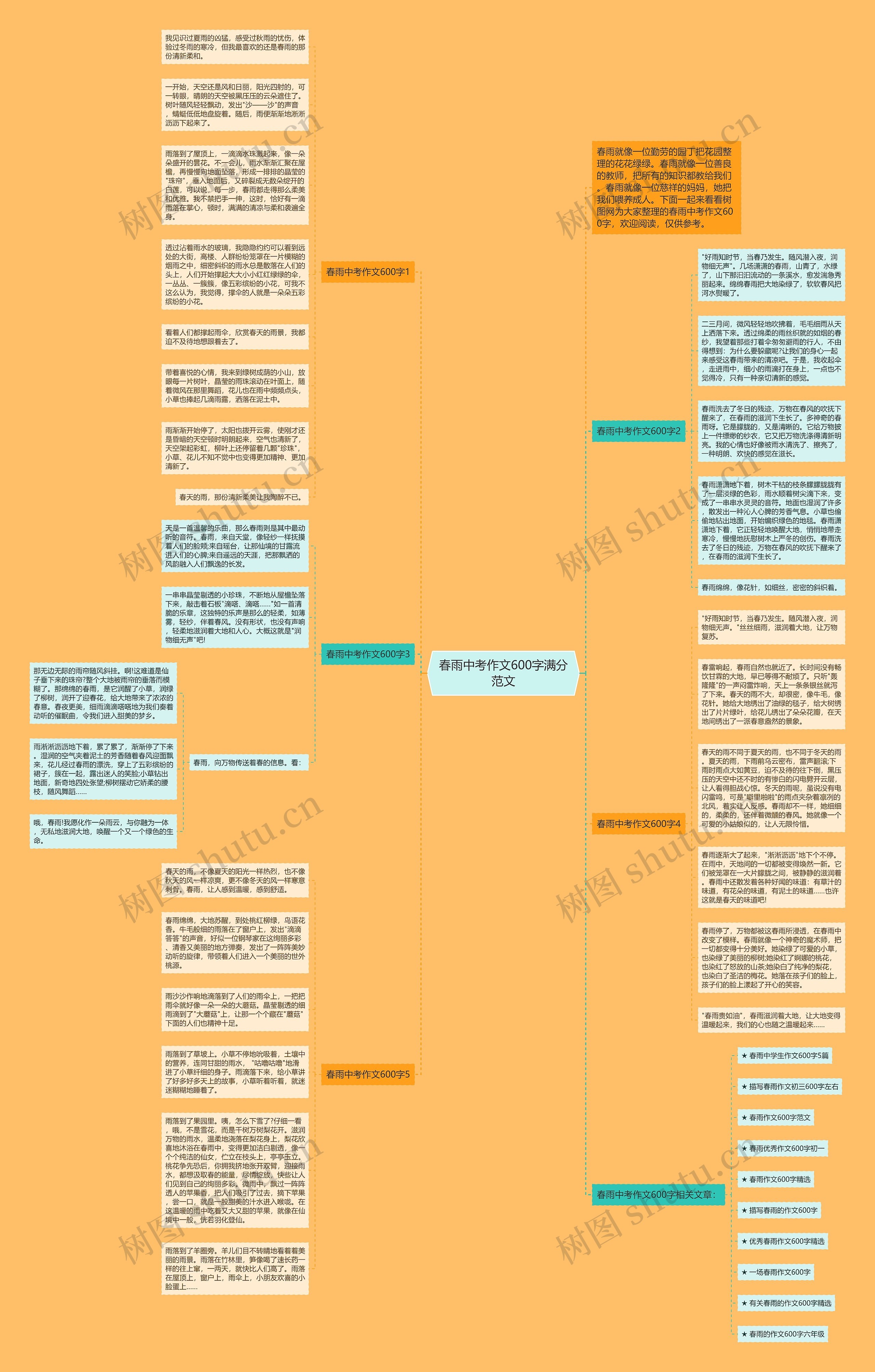 春雨中考作文600字满分范文思维导图