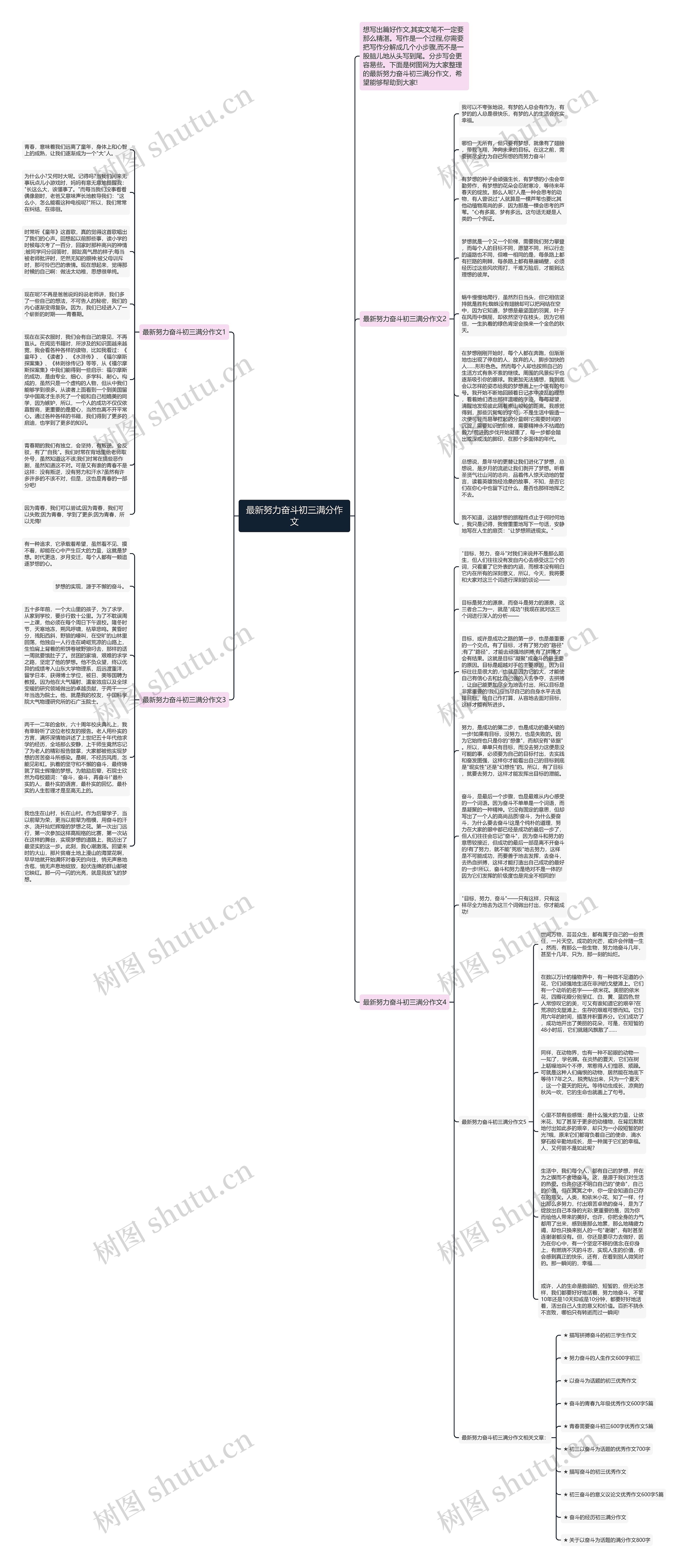 最新努力奋斗初三满分作文思维导图
