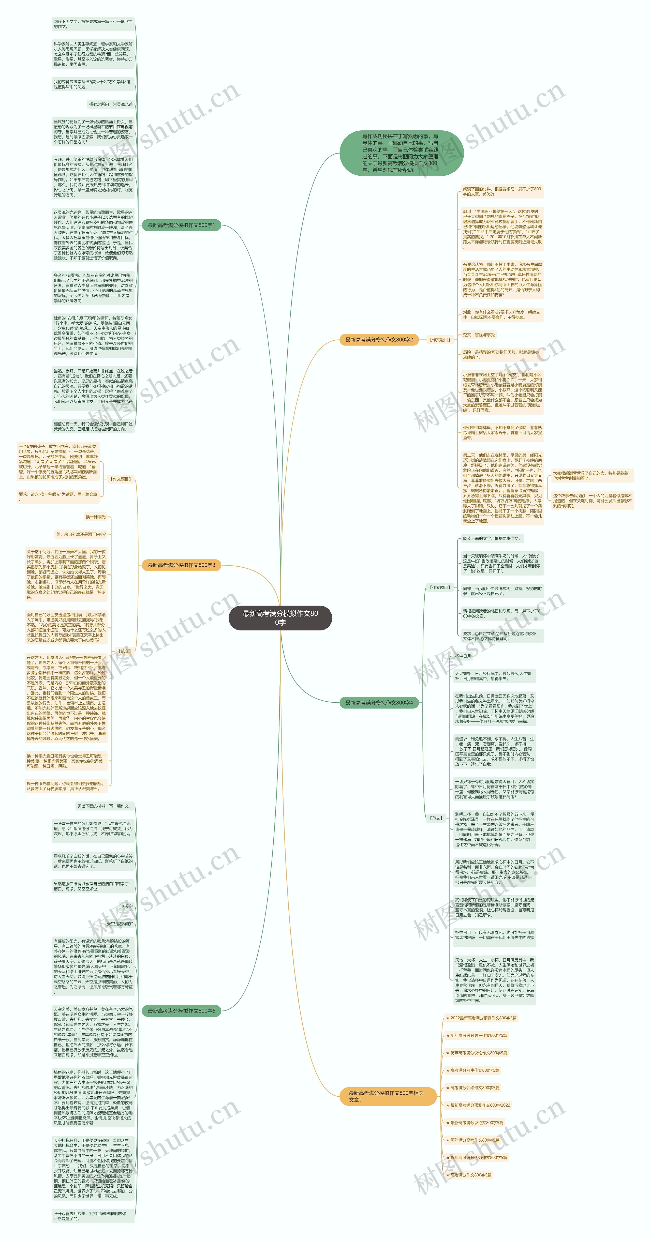 最新高考满分模拟作文800字思维导图