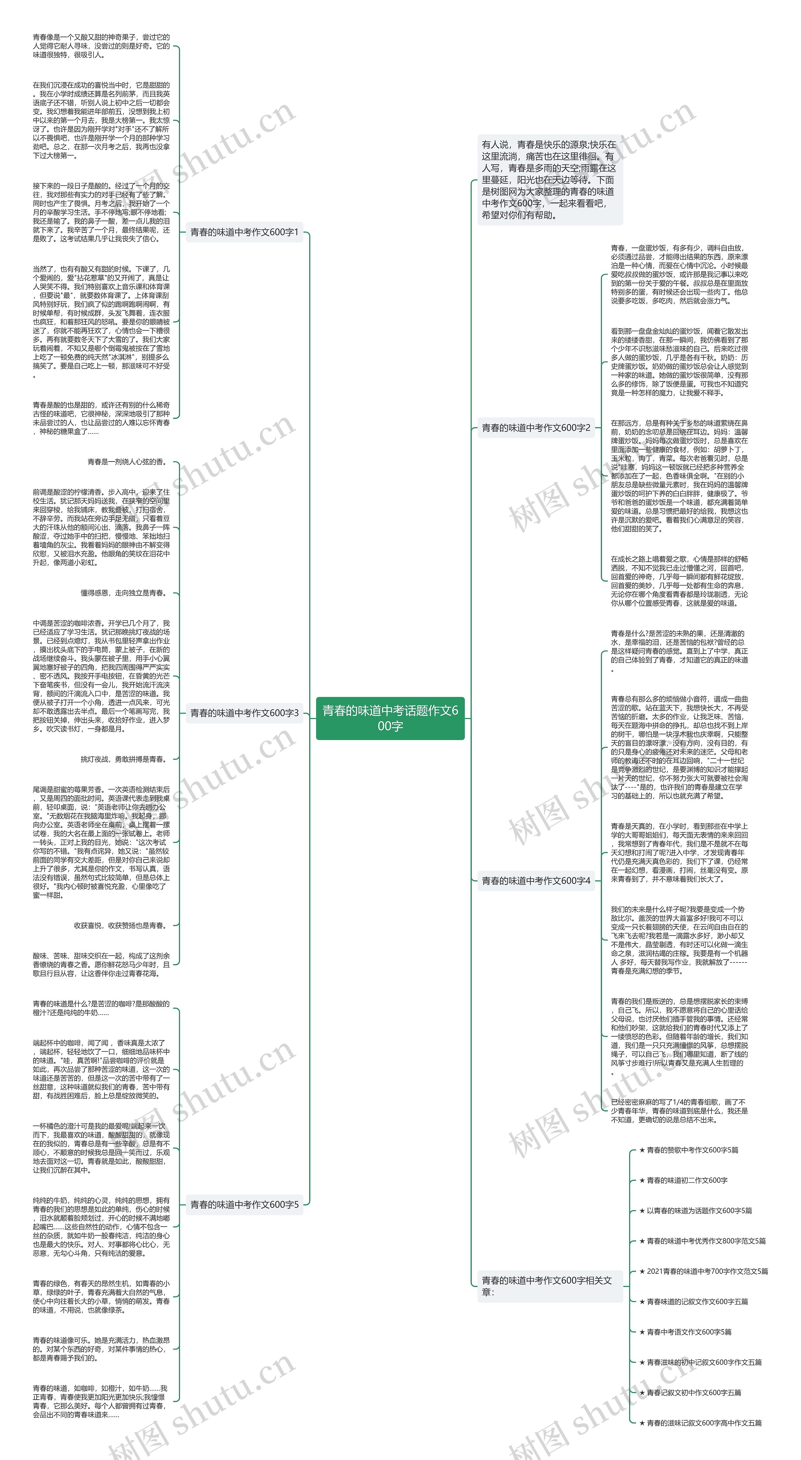 青春的味道中考话题作文600字思维导图
