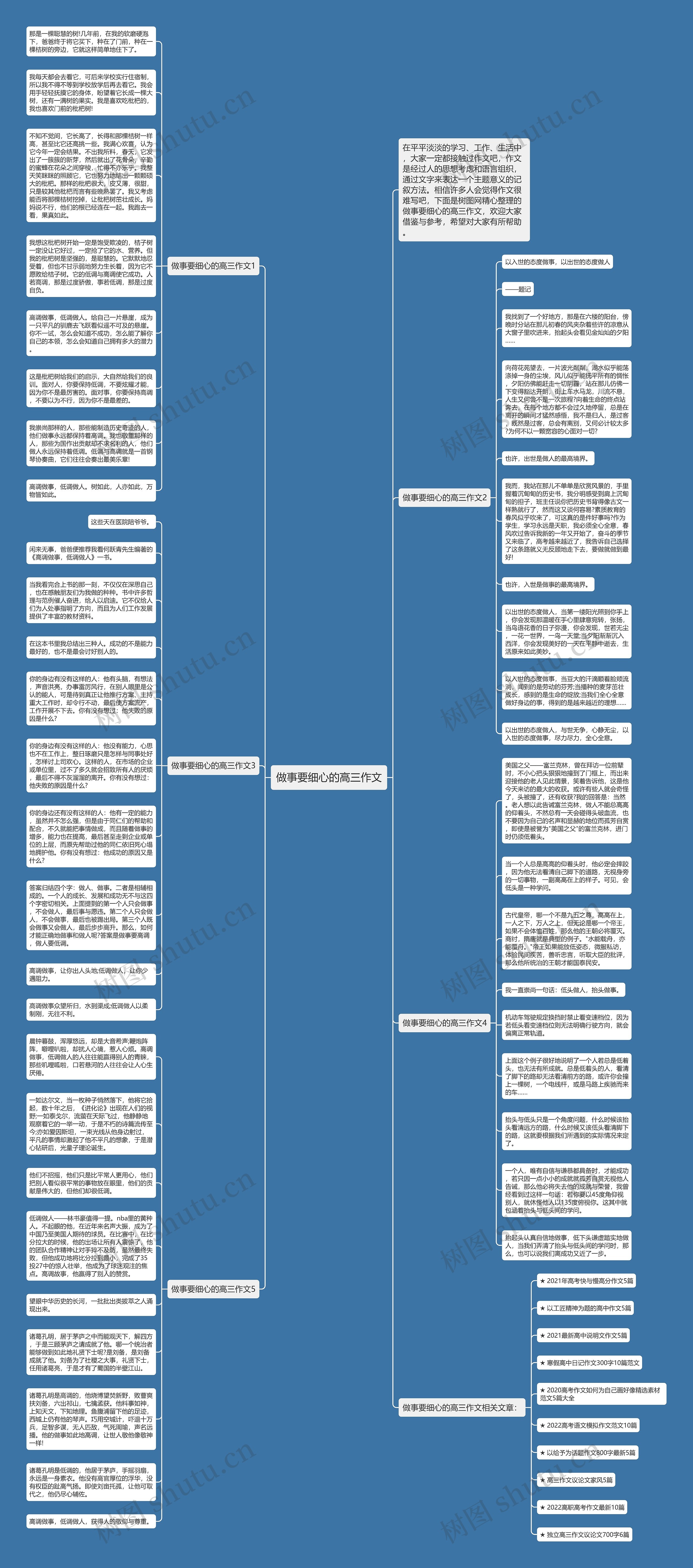 做事要细心的高三作文思维导图