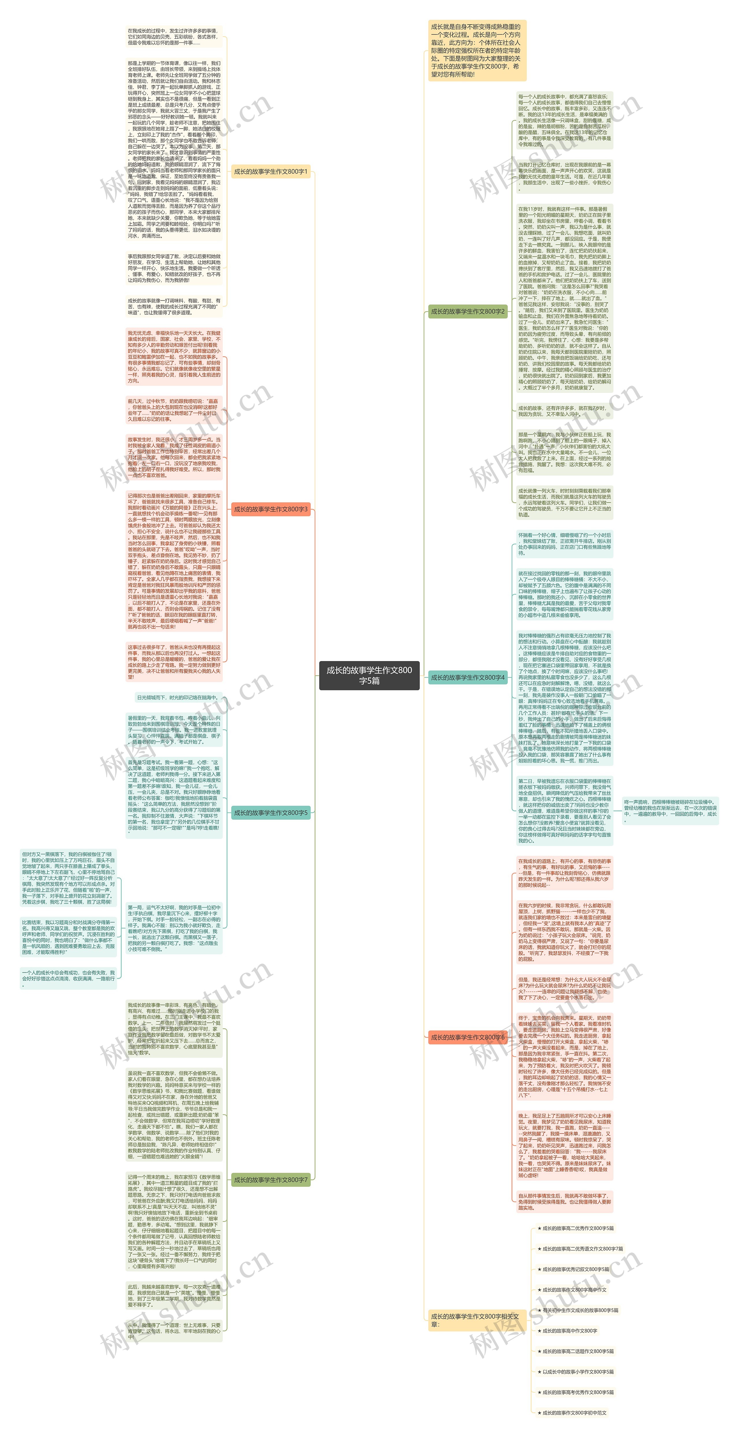 成长的故事学生作文800字5篇思维导图