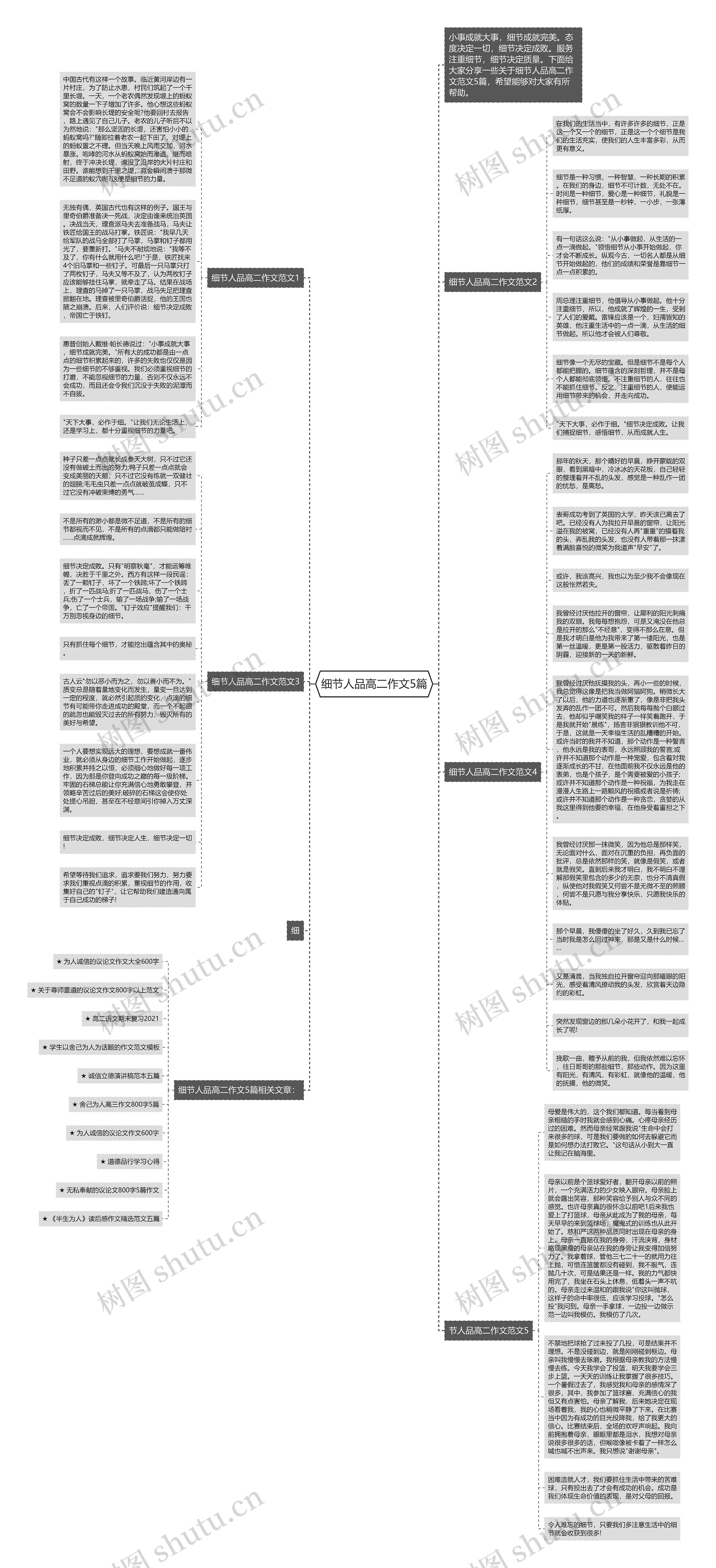 细节人品高二作文5篇思维导图