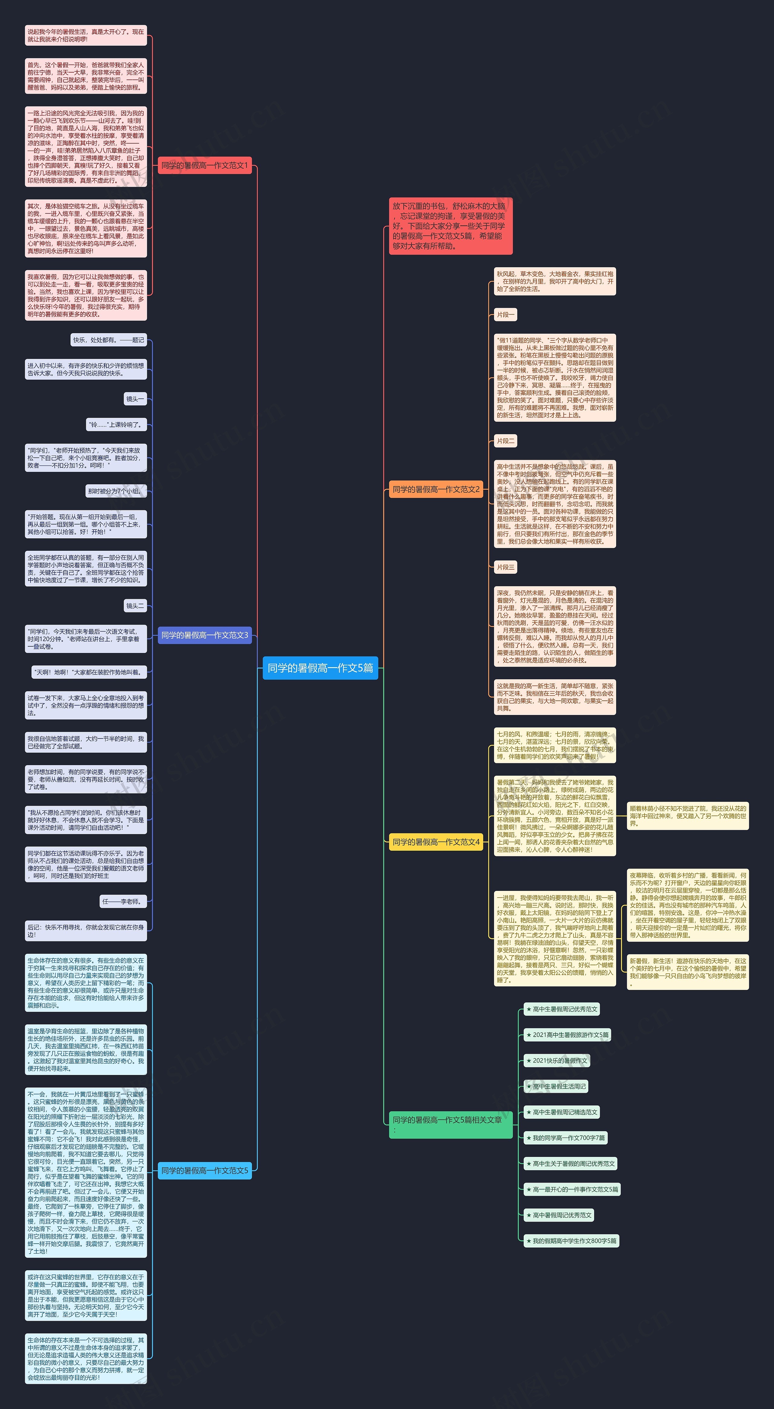 同学的暑假高一作文5篇思维导图