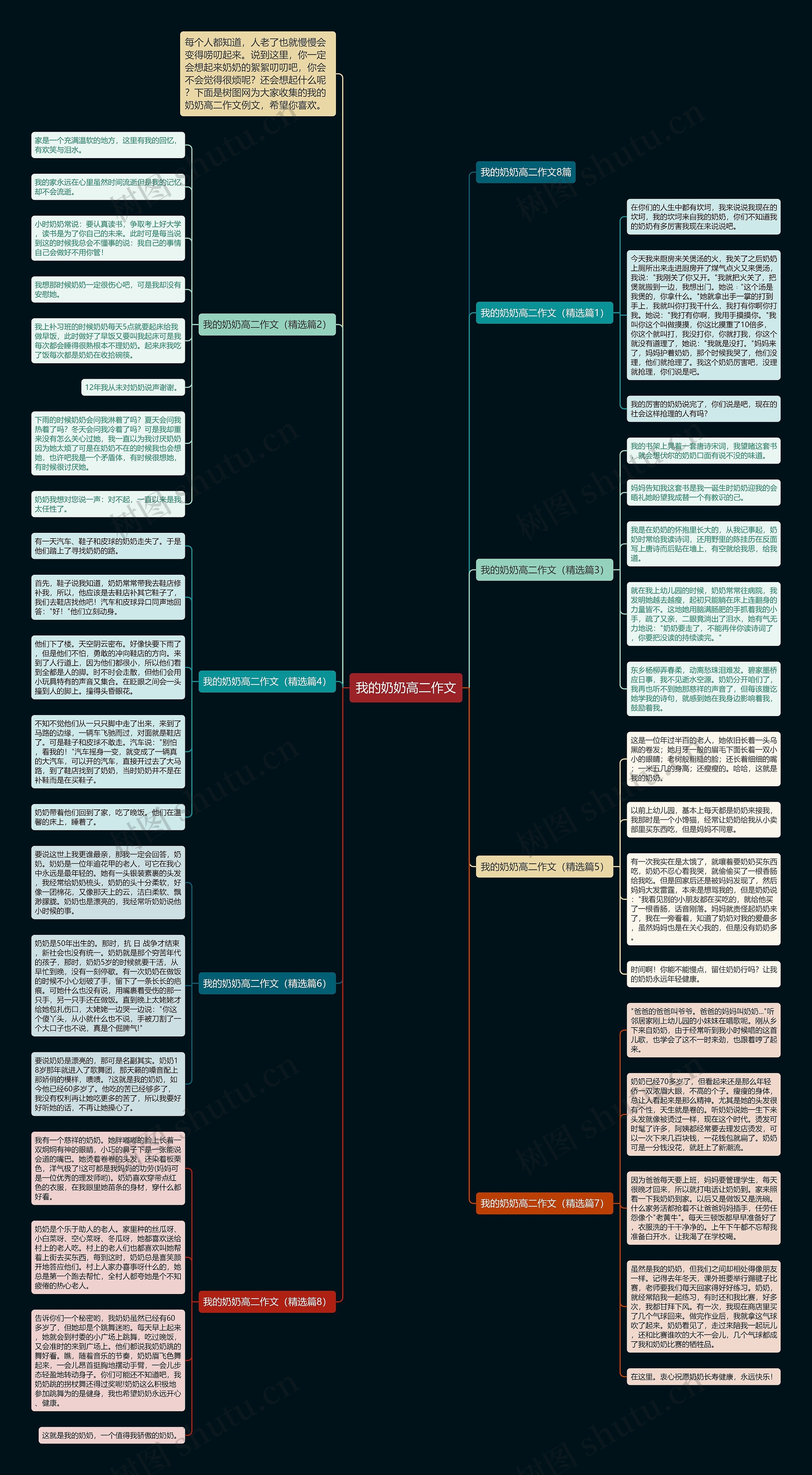我的奶奶高二作文思维导图