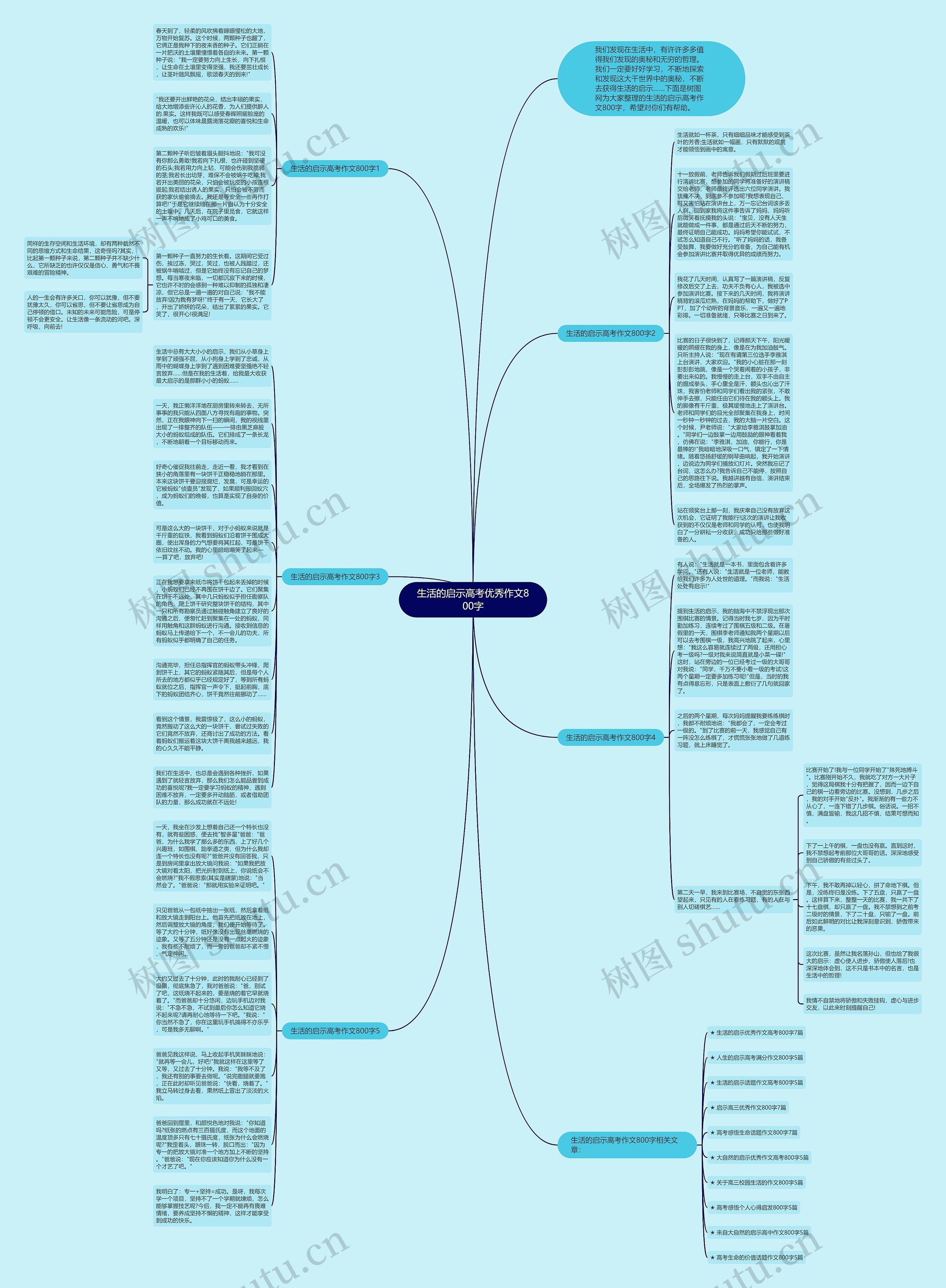 生活的启示高考优秀作文800字思维导图