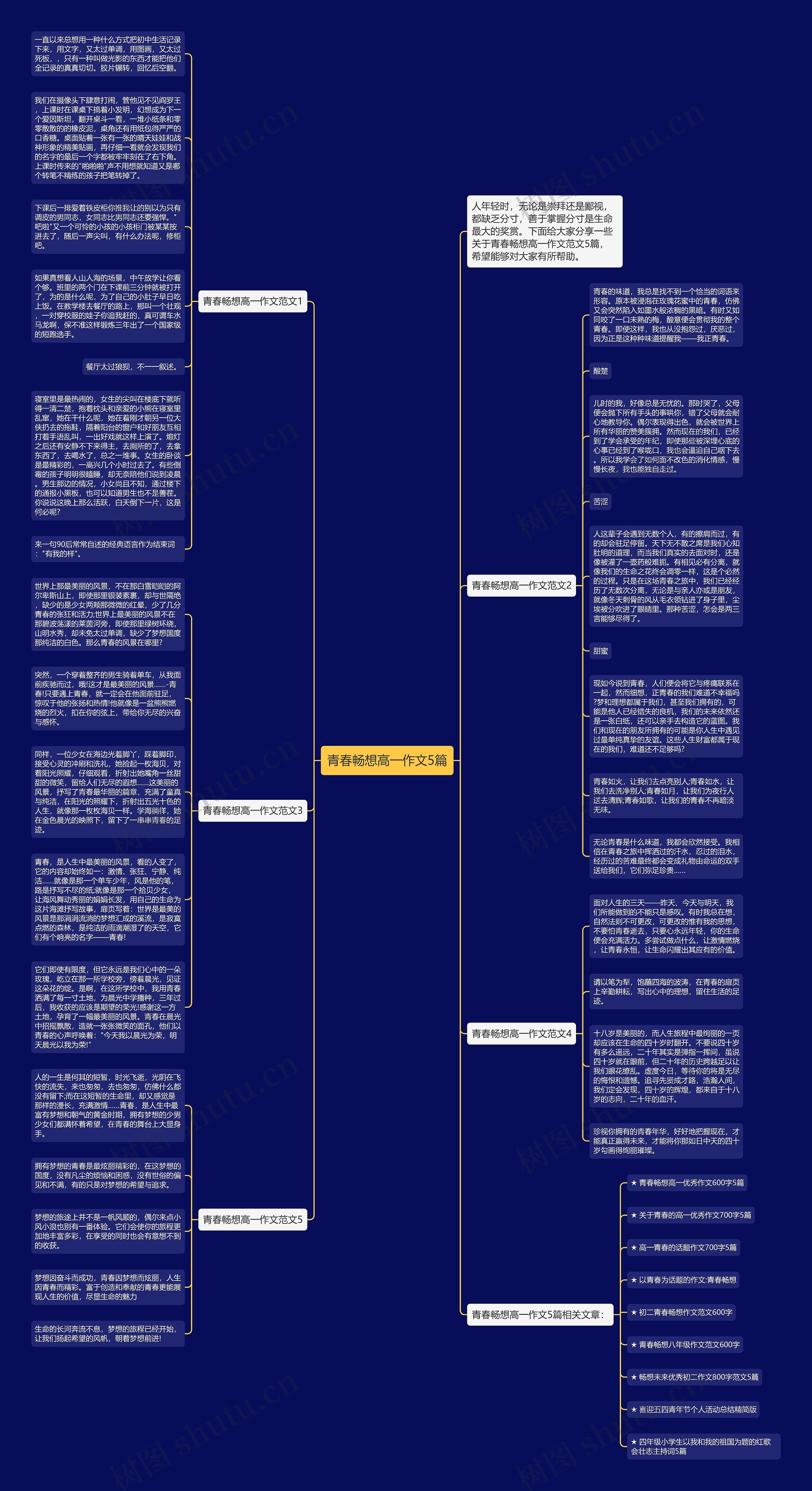 青春畅想高一作文5篇思维导图