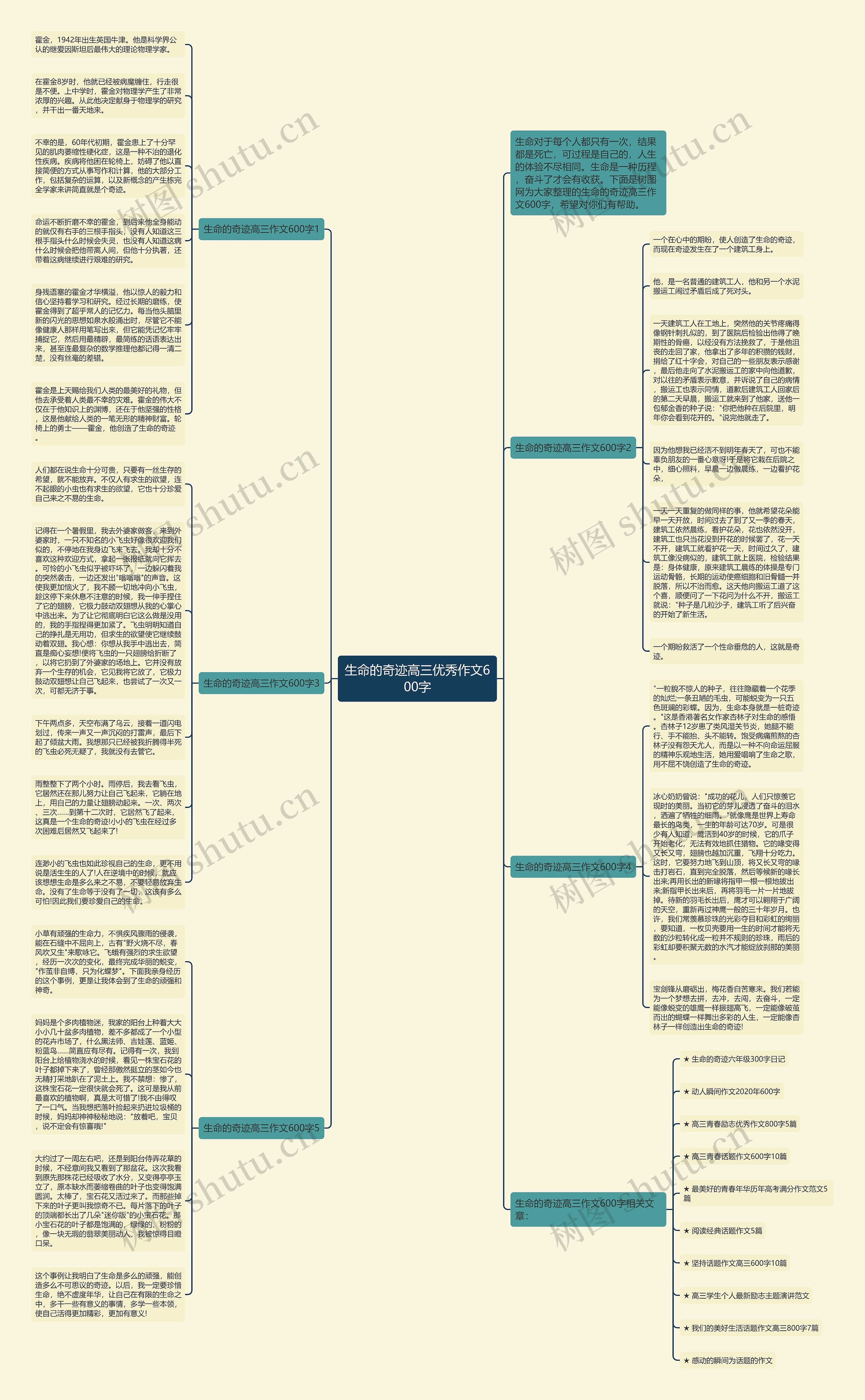 生命的奇迹高三优秀作文600字思维导图