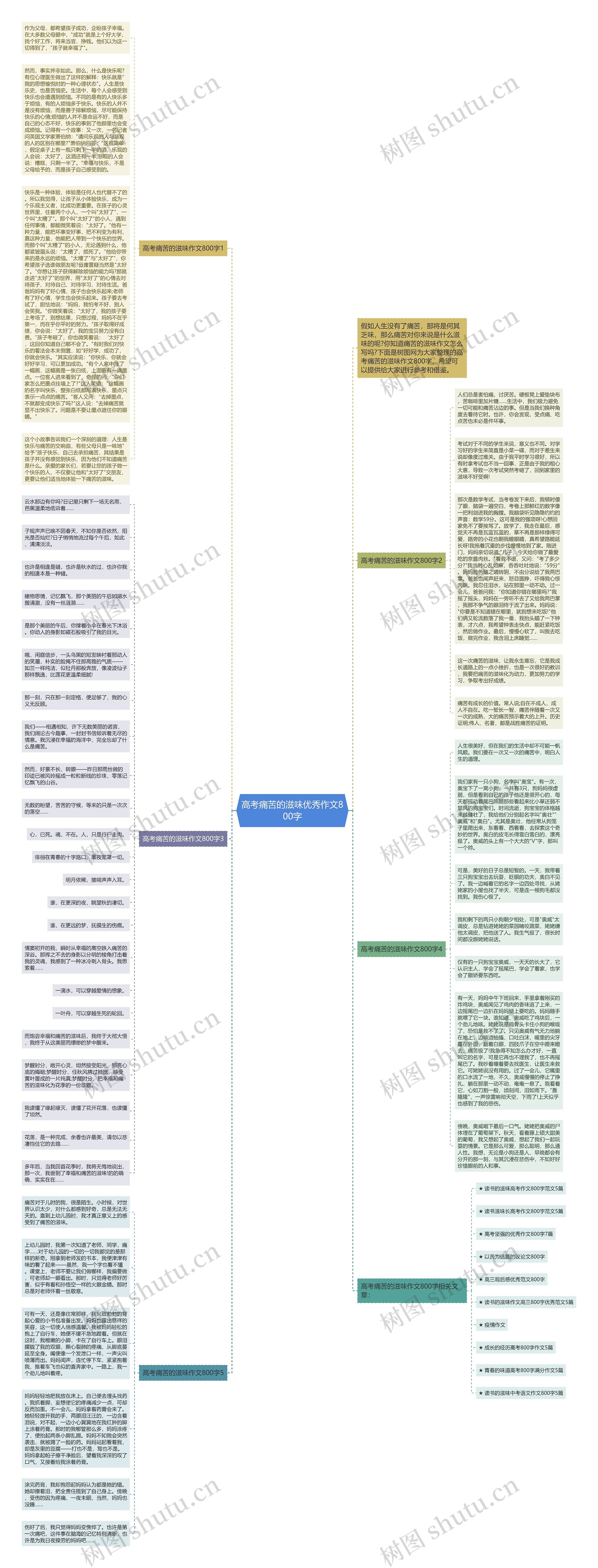 高考痛苦的滋味优秀作文800字思维导图