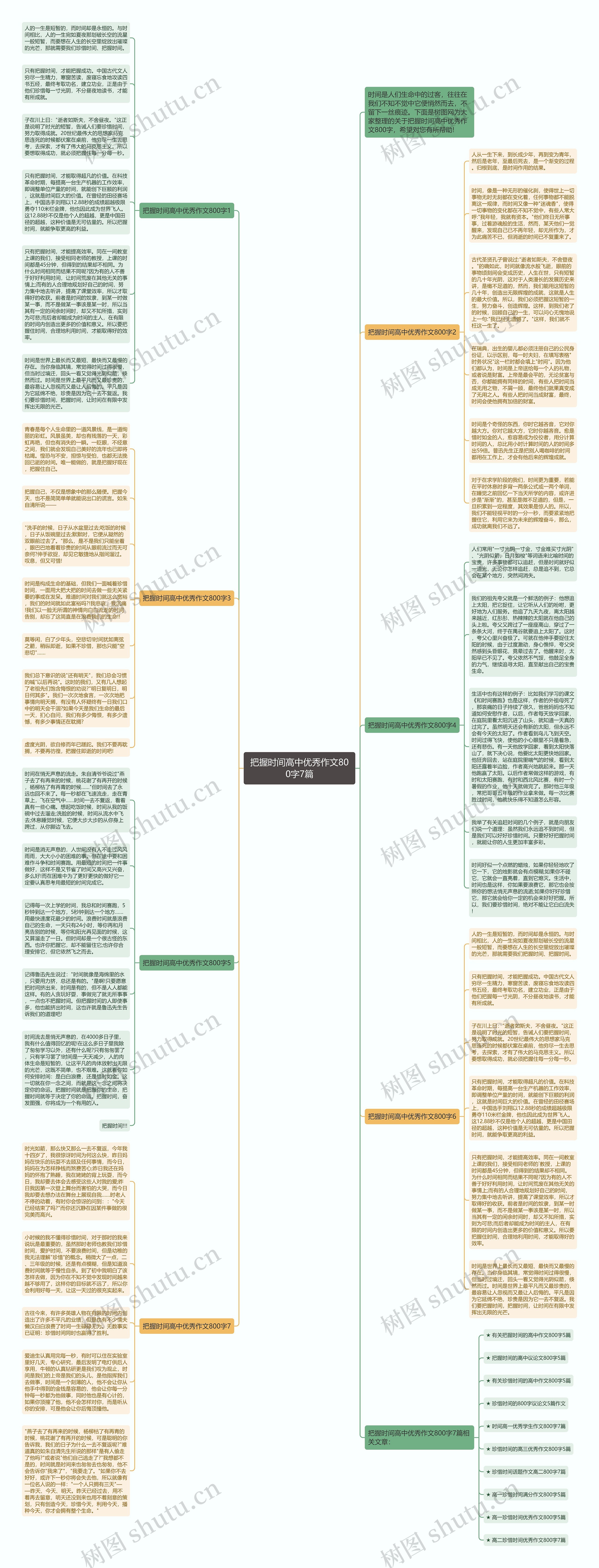 把握时间高中优秀作文800字7篇思维导图