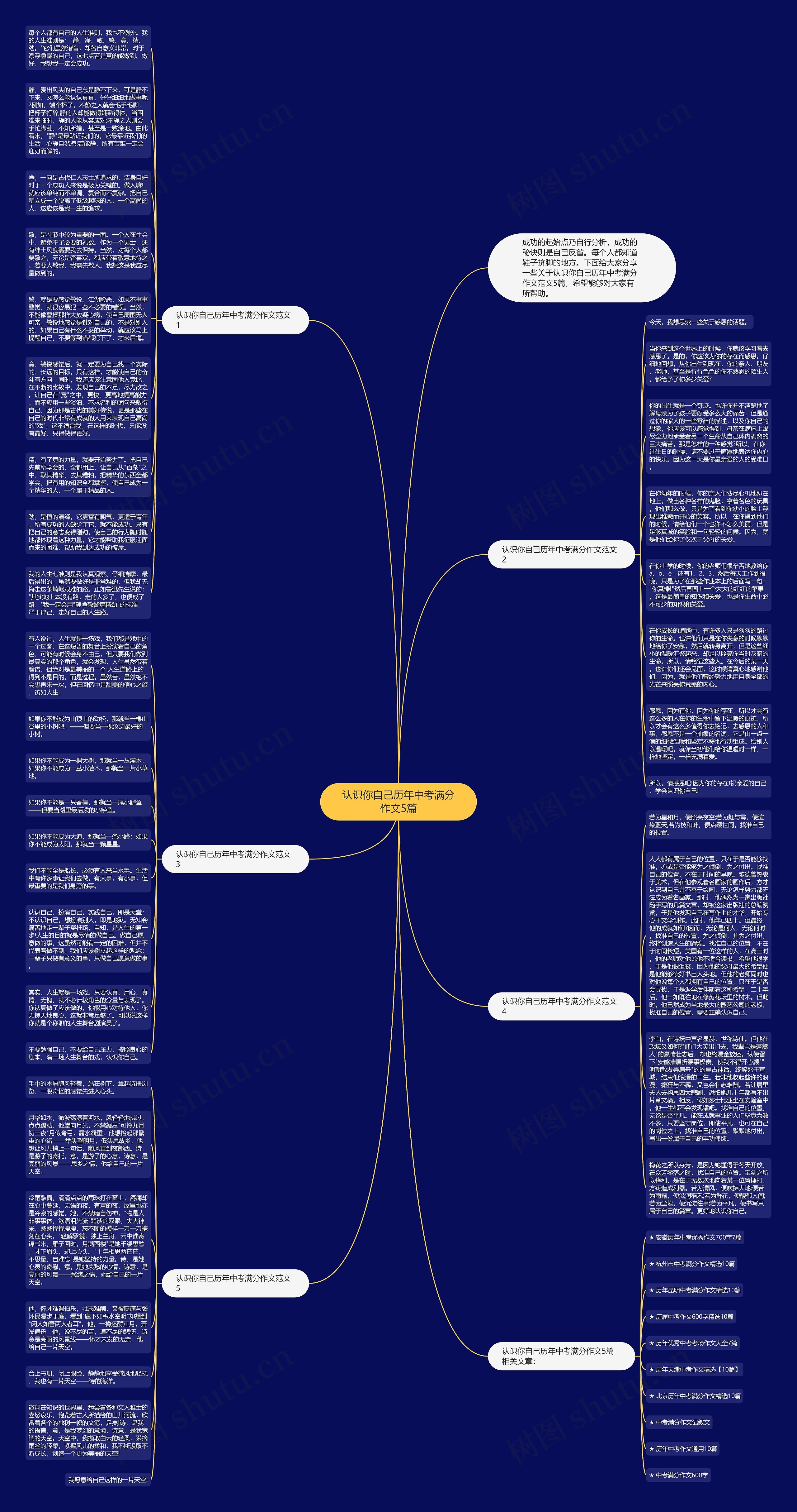 认识你自己历年中考满分作文5篇思维导图