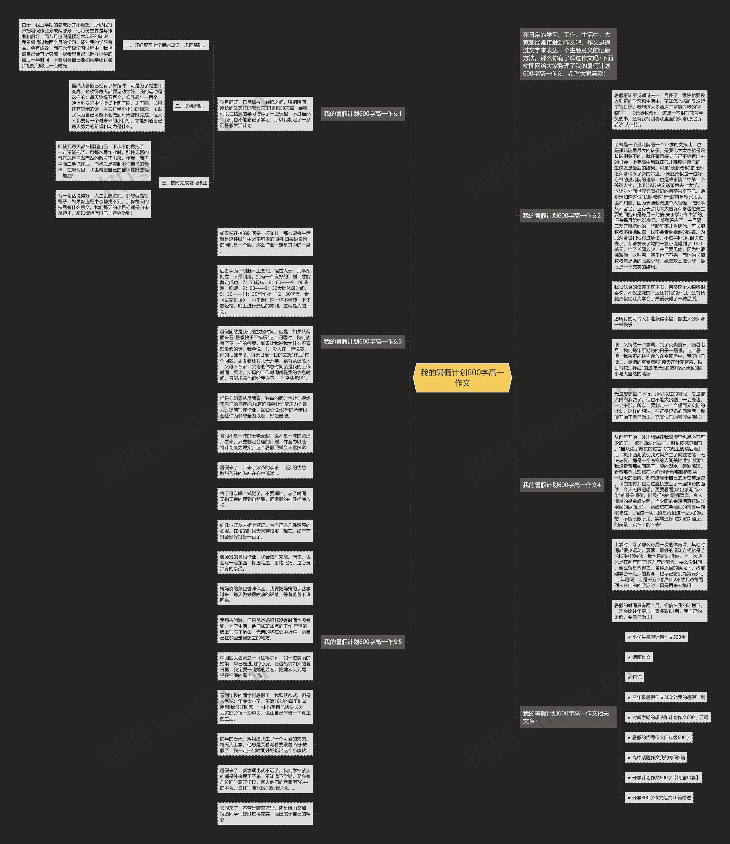 我的暑假计划600字高一作文思维导图