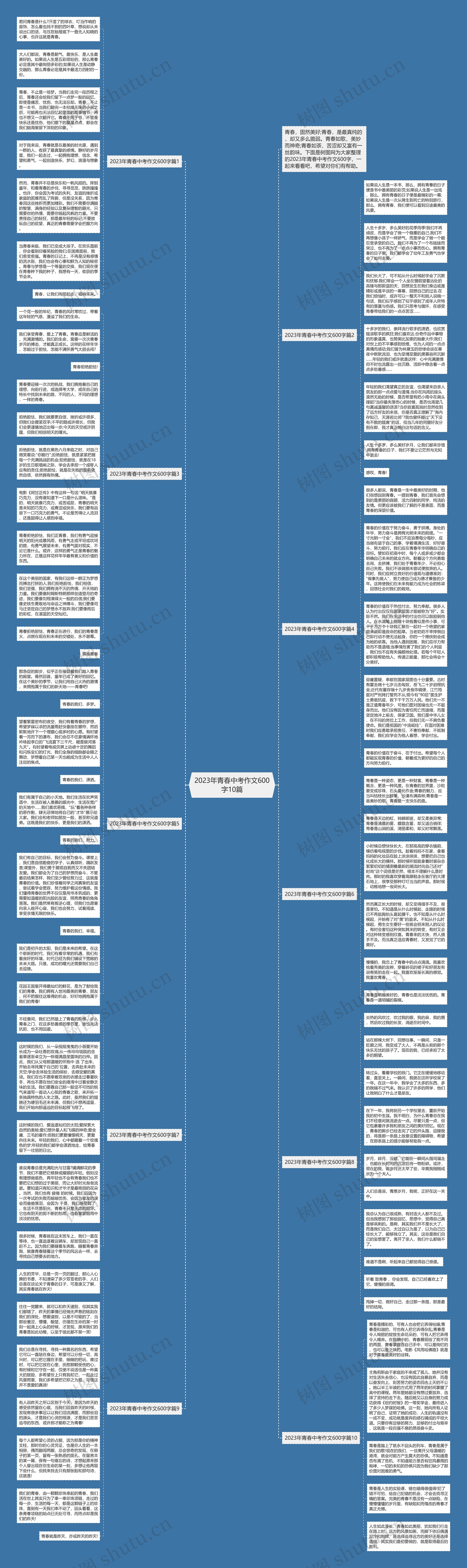 2023年青春中考作文600字10篇思维导图