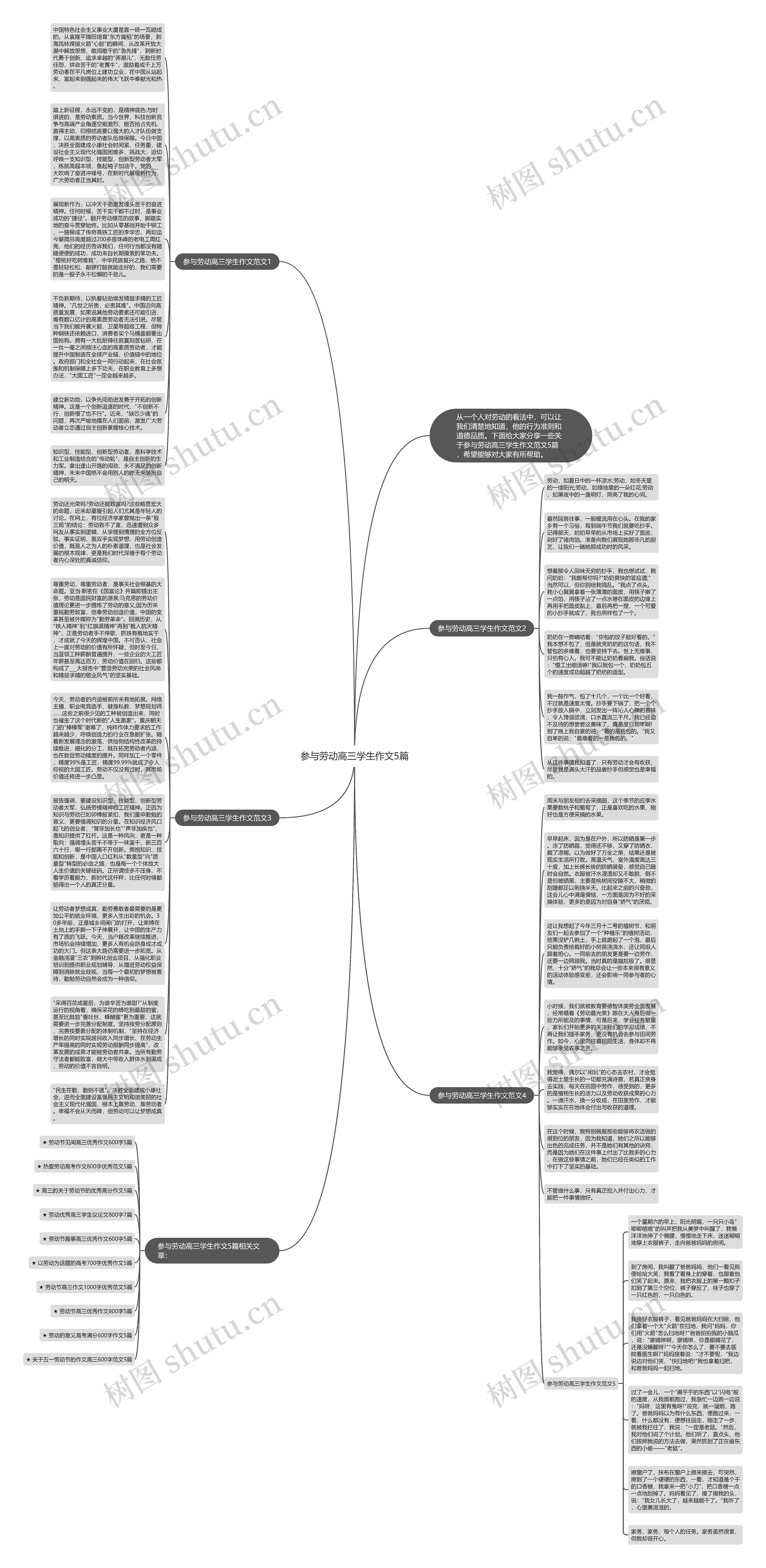 参与劳动高三学生作文5篇思维导图