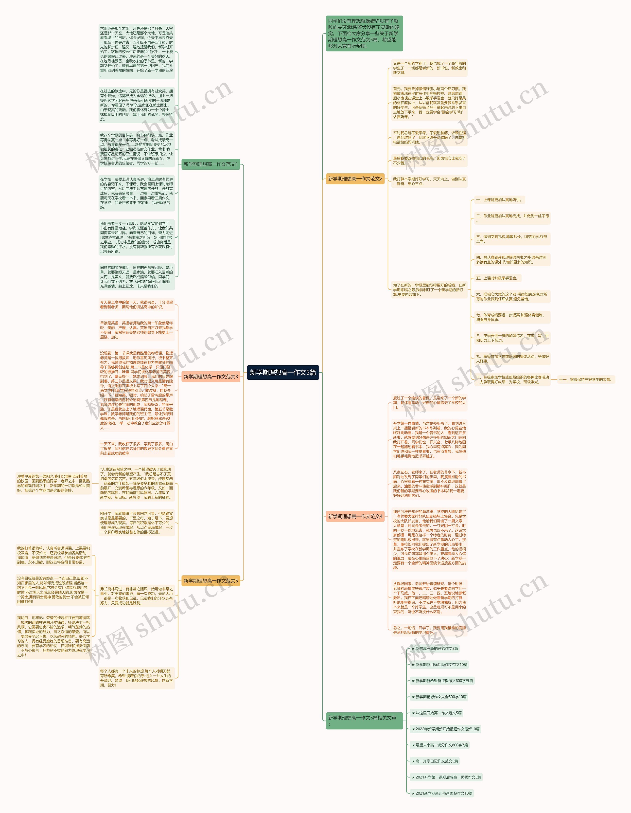 新学期理想高一作文5篇思维导图