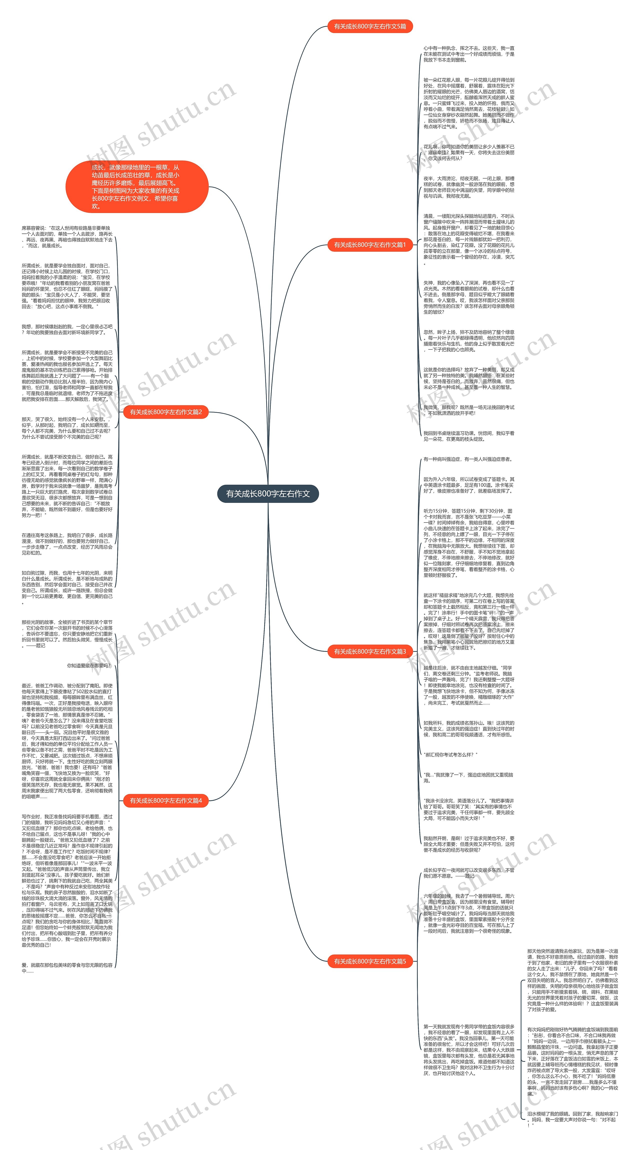 有关成长800字左右作文思维导图