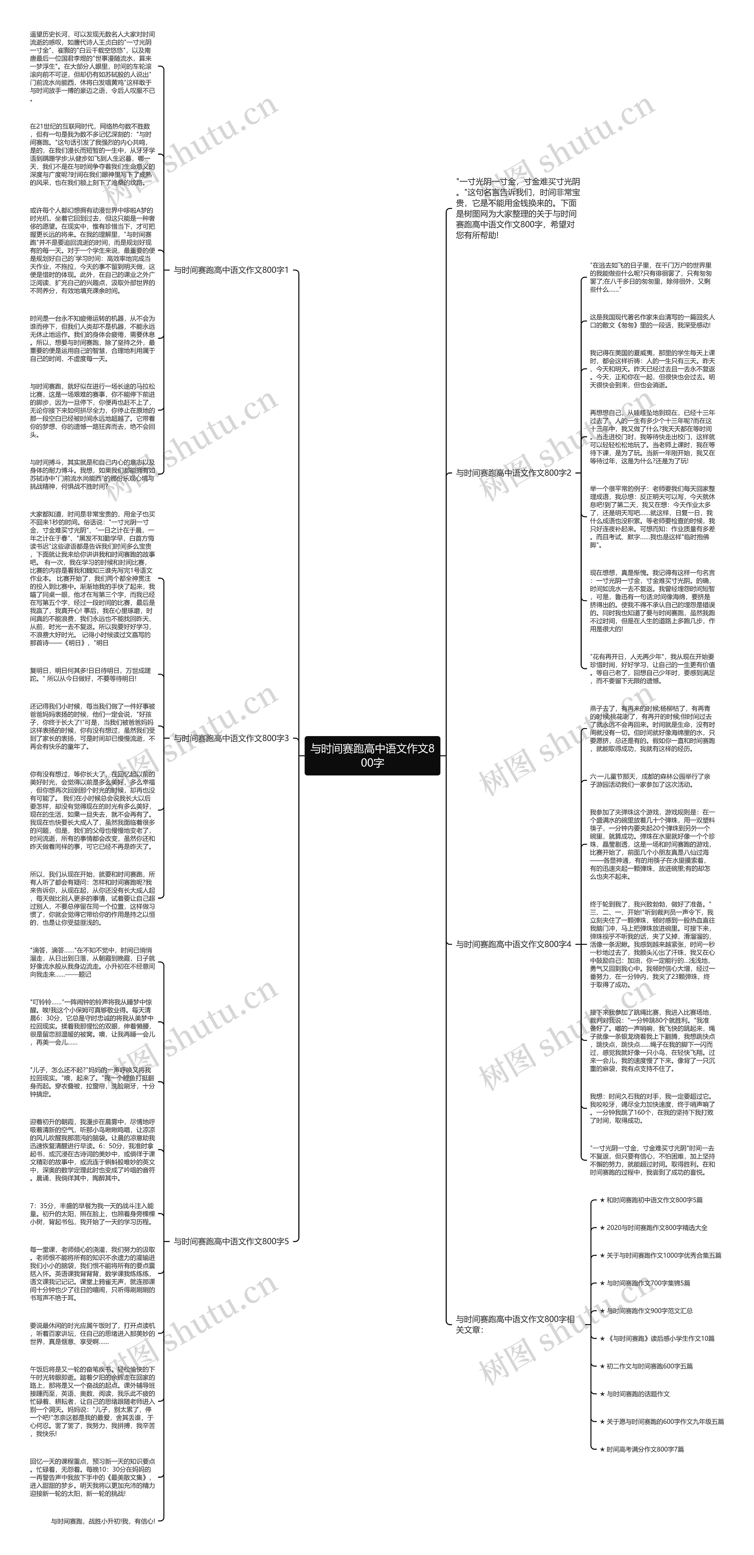 与时间赛跑高中语文作文800字思维导图