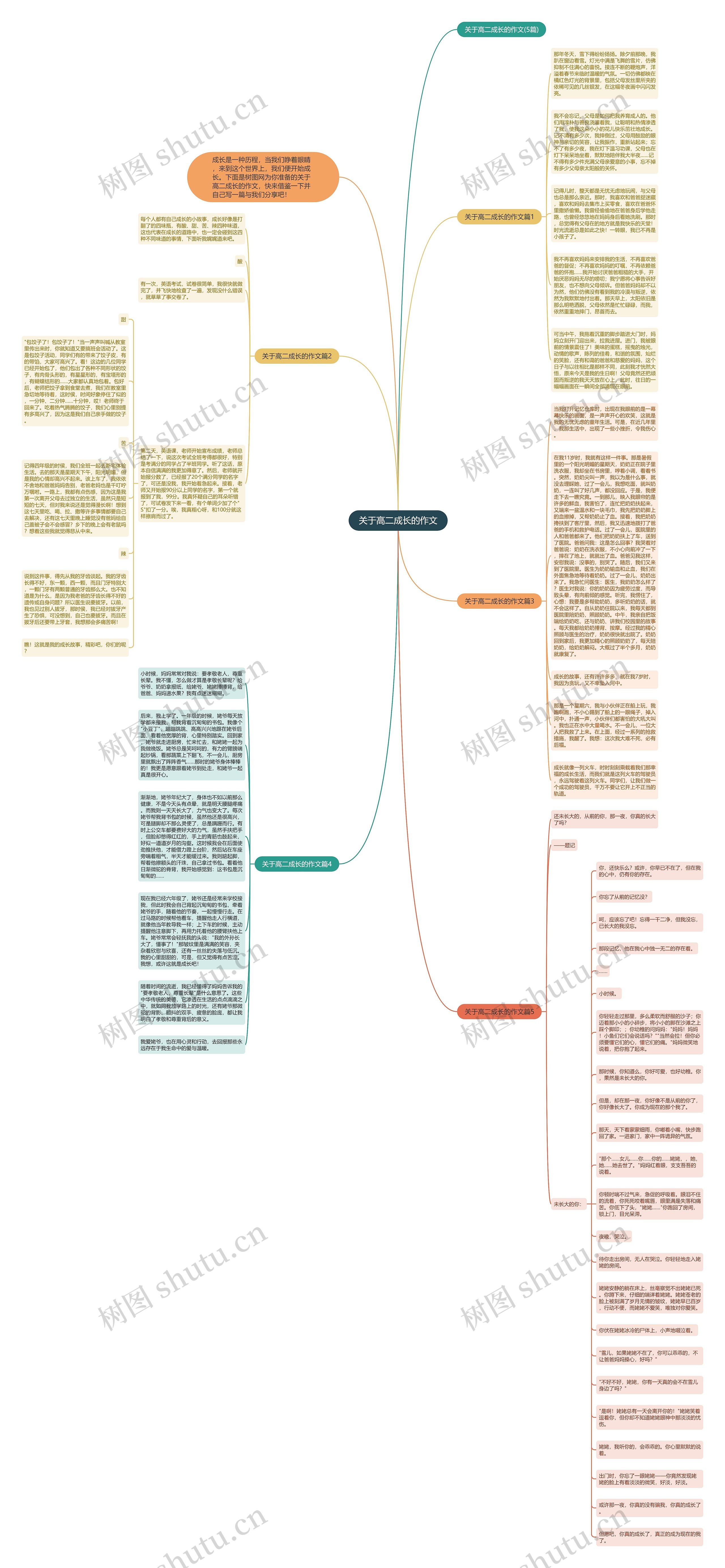 关于高二成长的作文思维导图