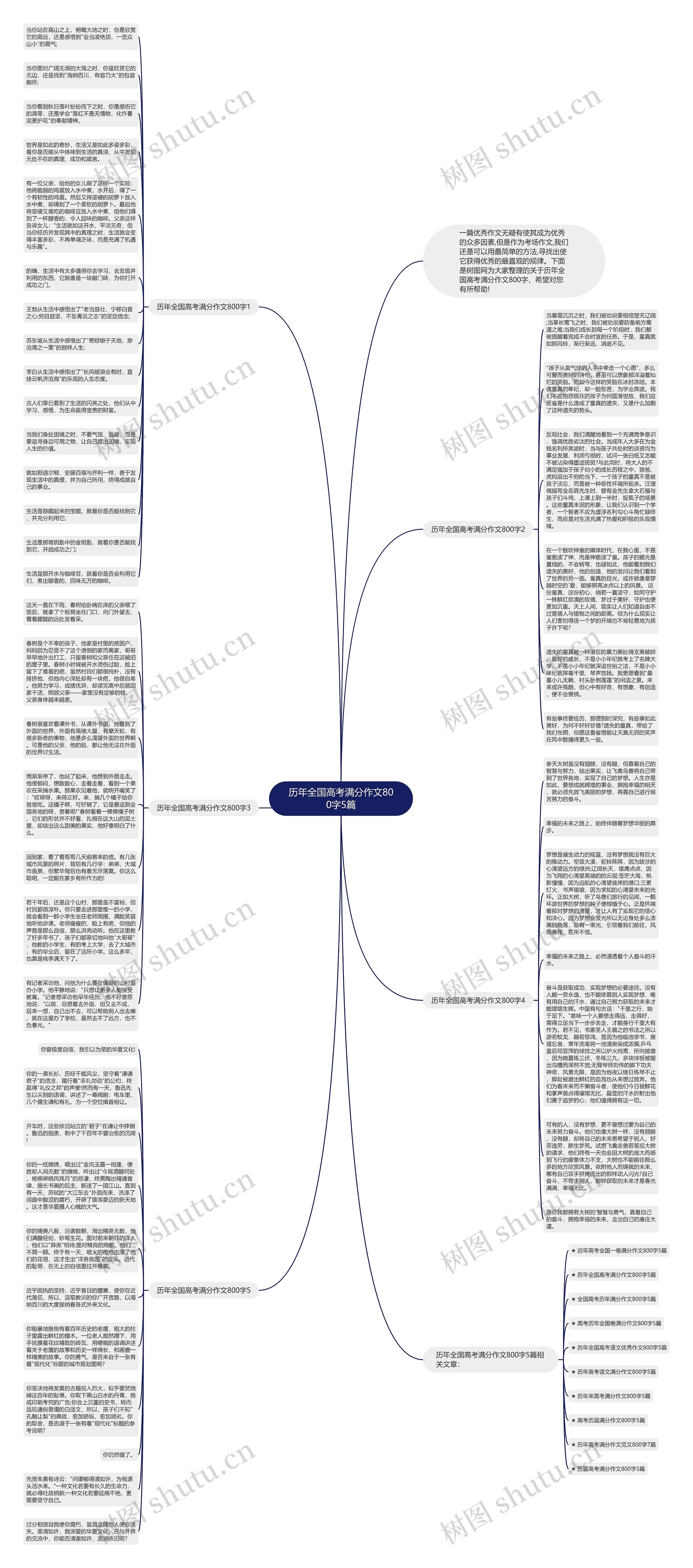 历年全国高考满分作文800字5篇思维导图