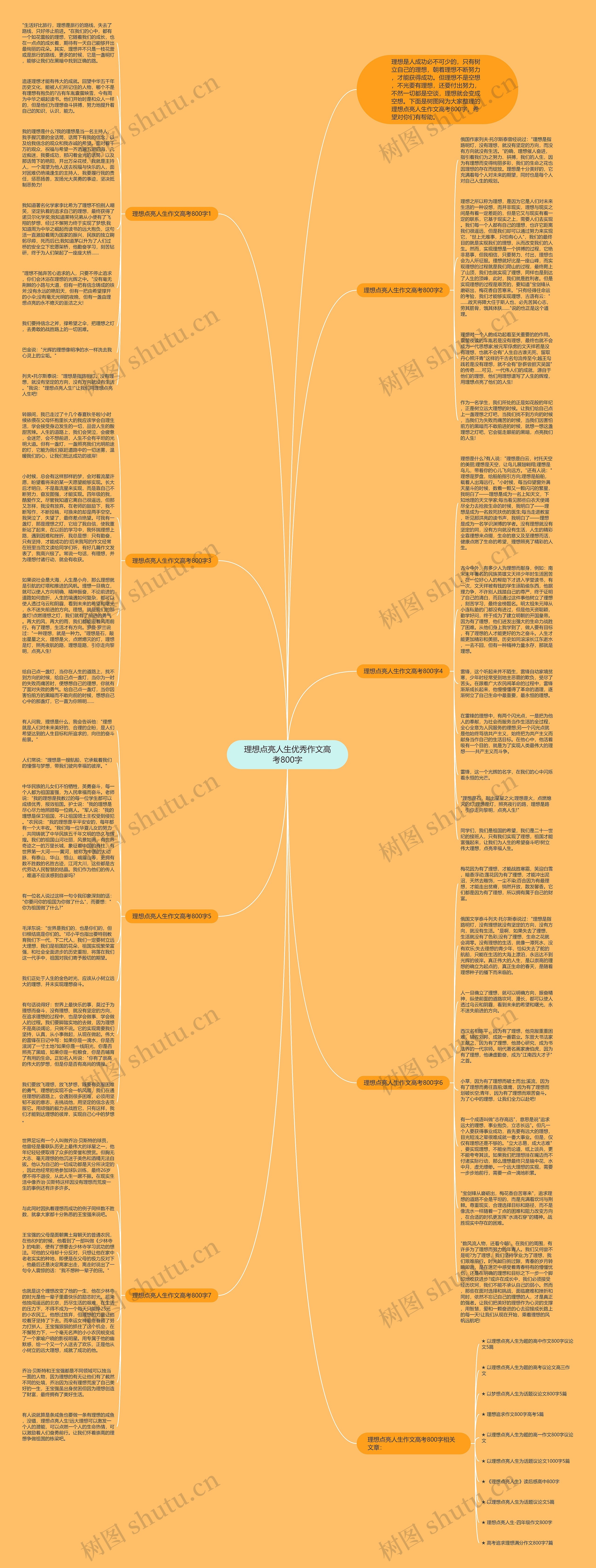 理想点亮人生优秀作文高考800字思维导图