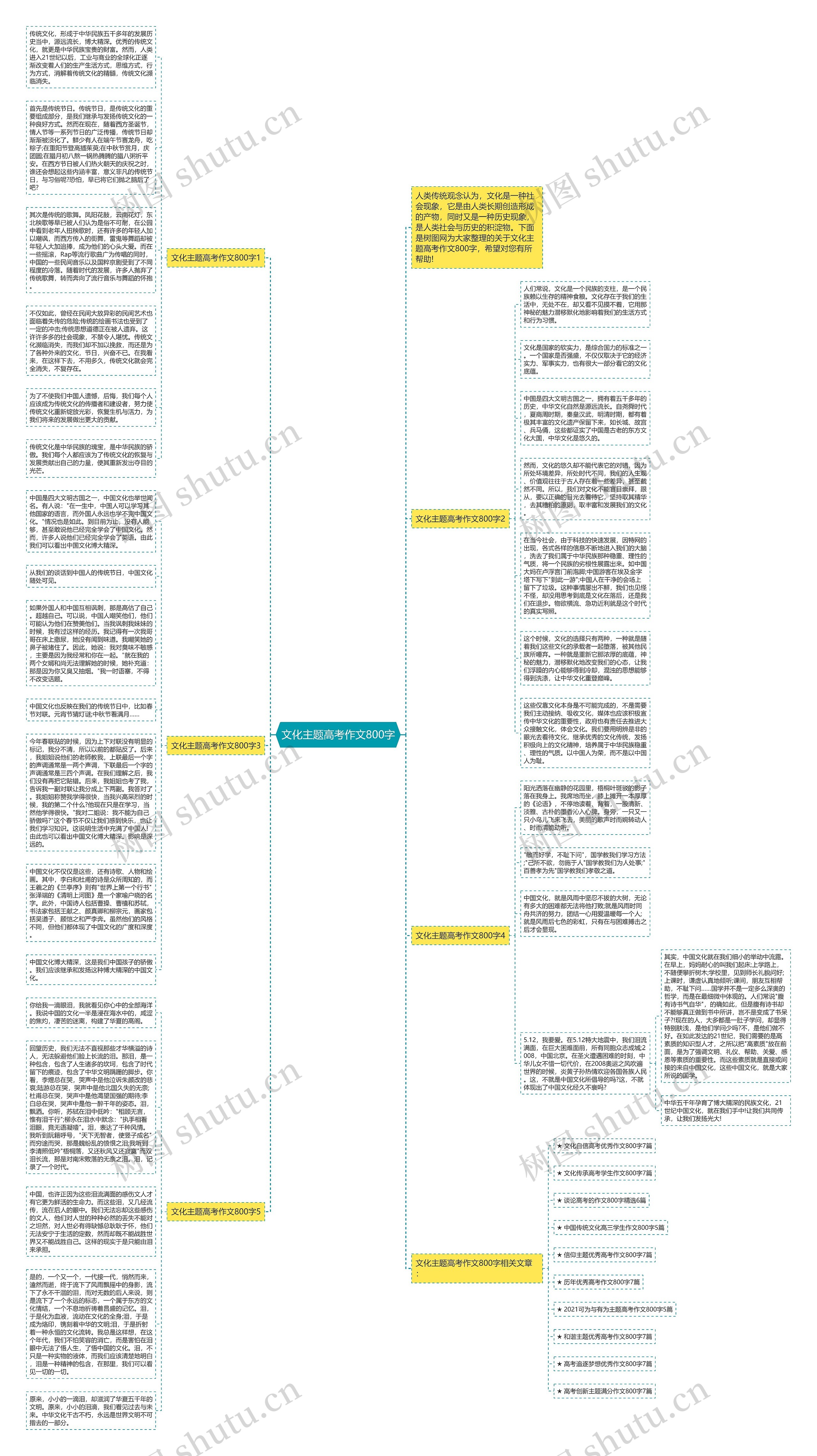 文化主题高考作文800字思维导图