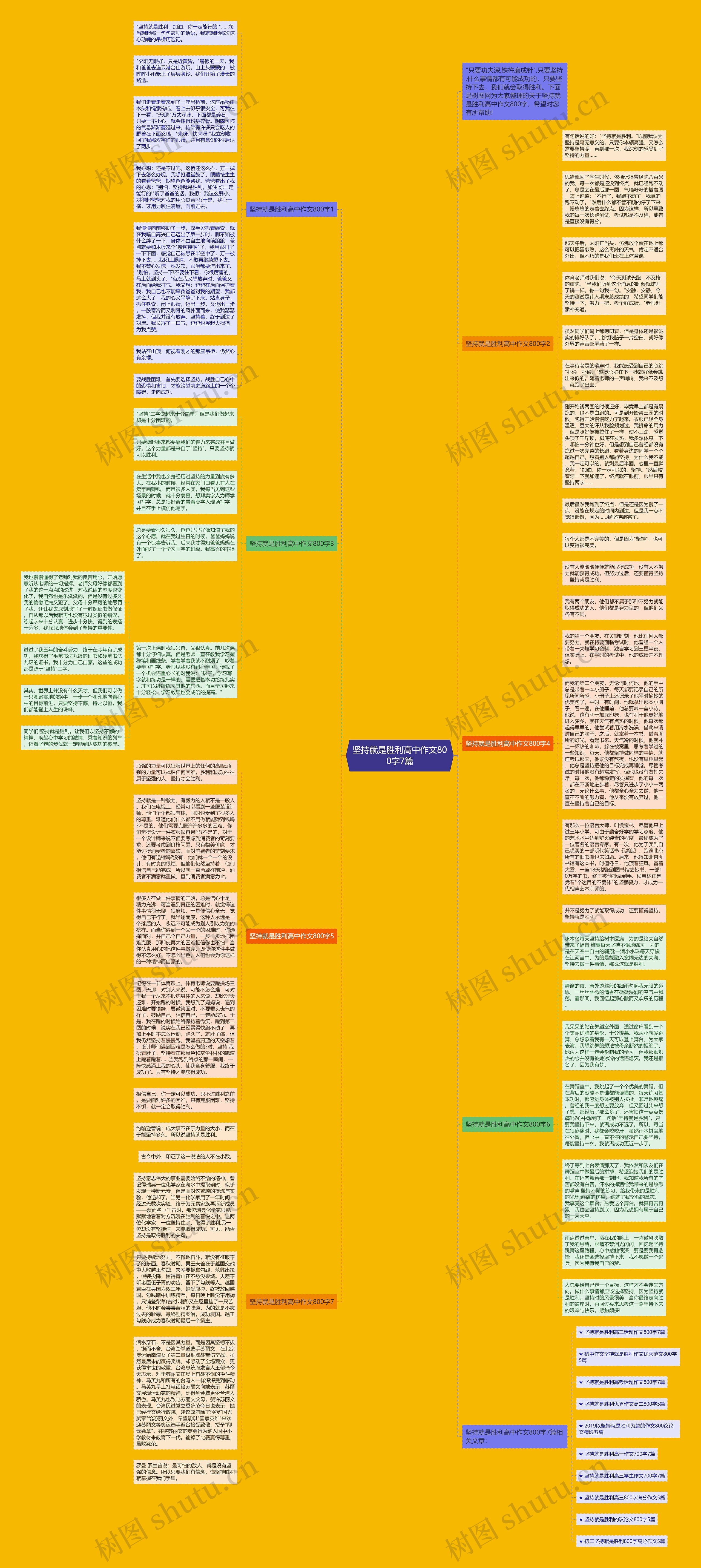 坚持就是胜利高中作文800字7篇思维导图