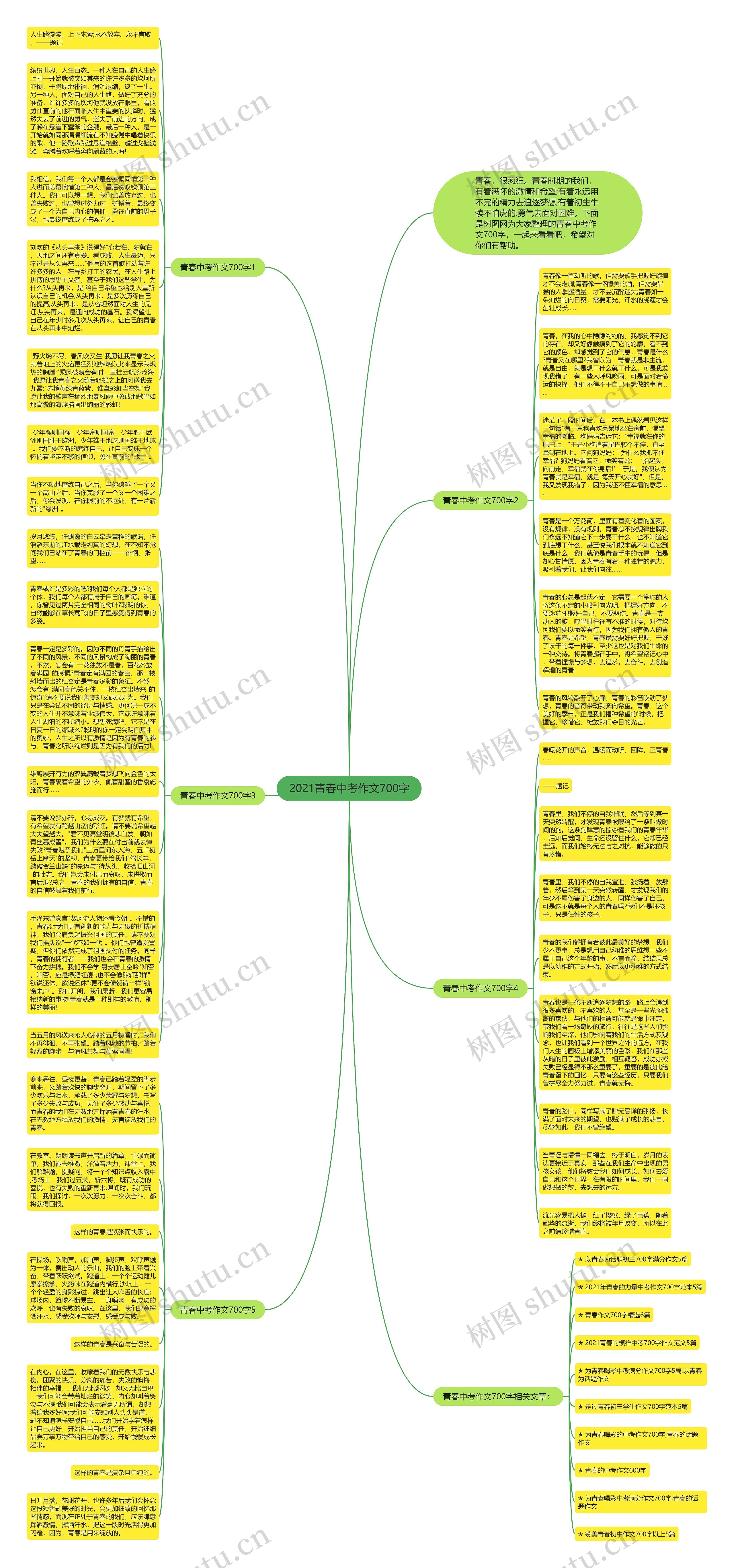 2021青春中考作文700字思维导图