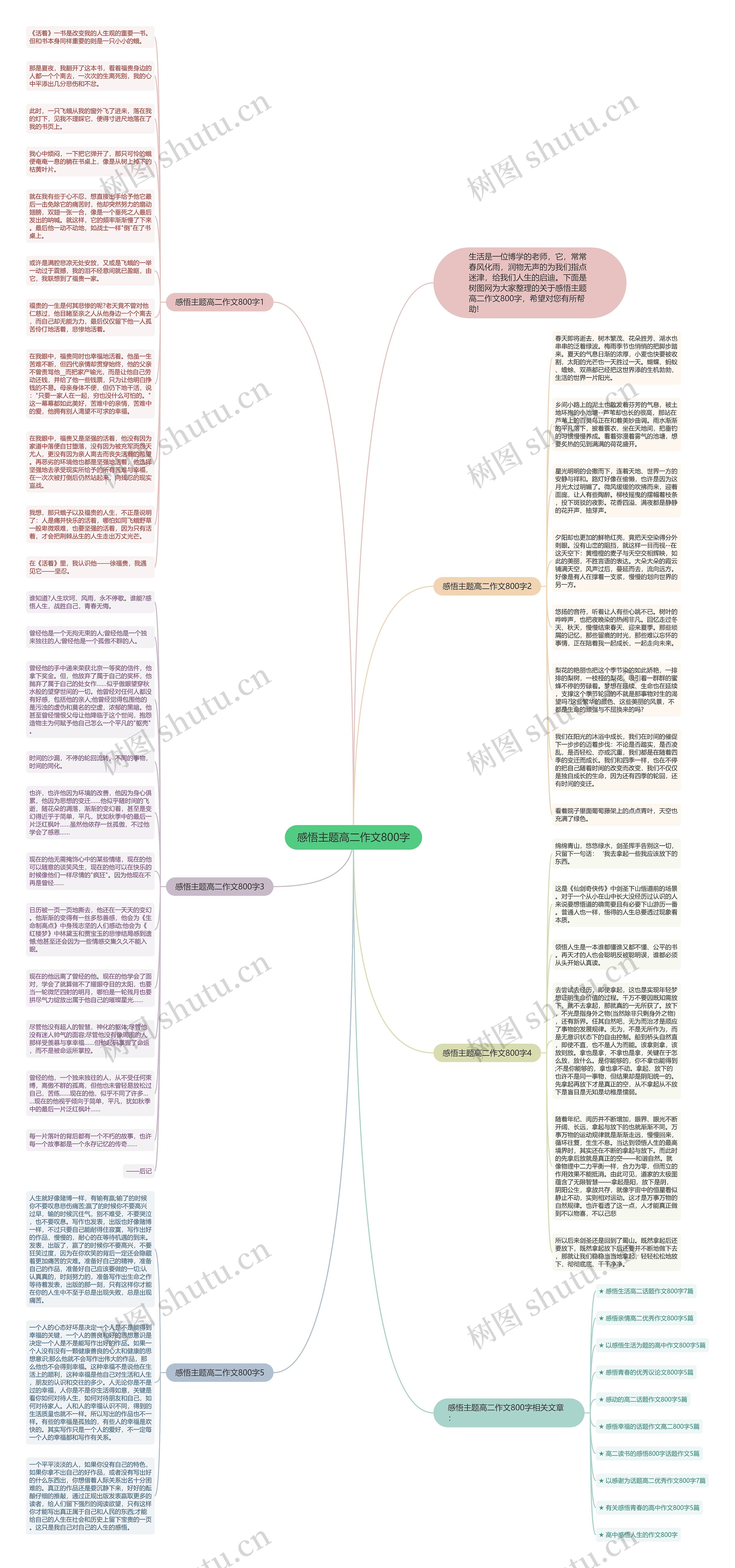 感悟主题高二作文800字思维导图