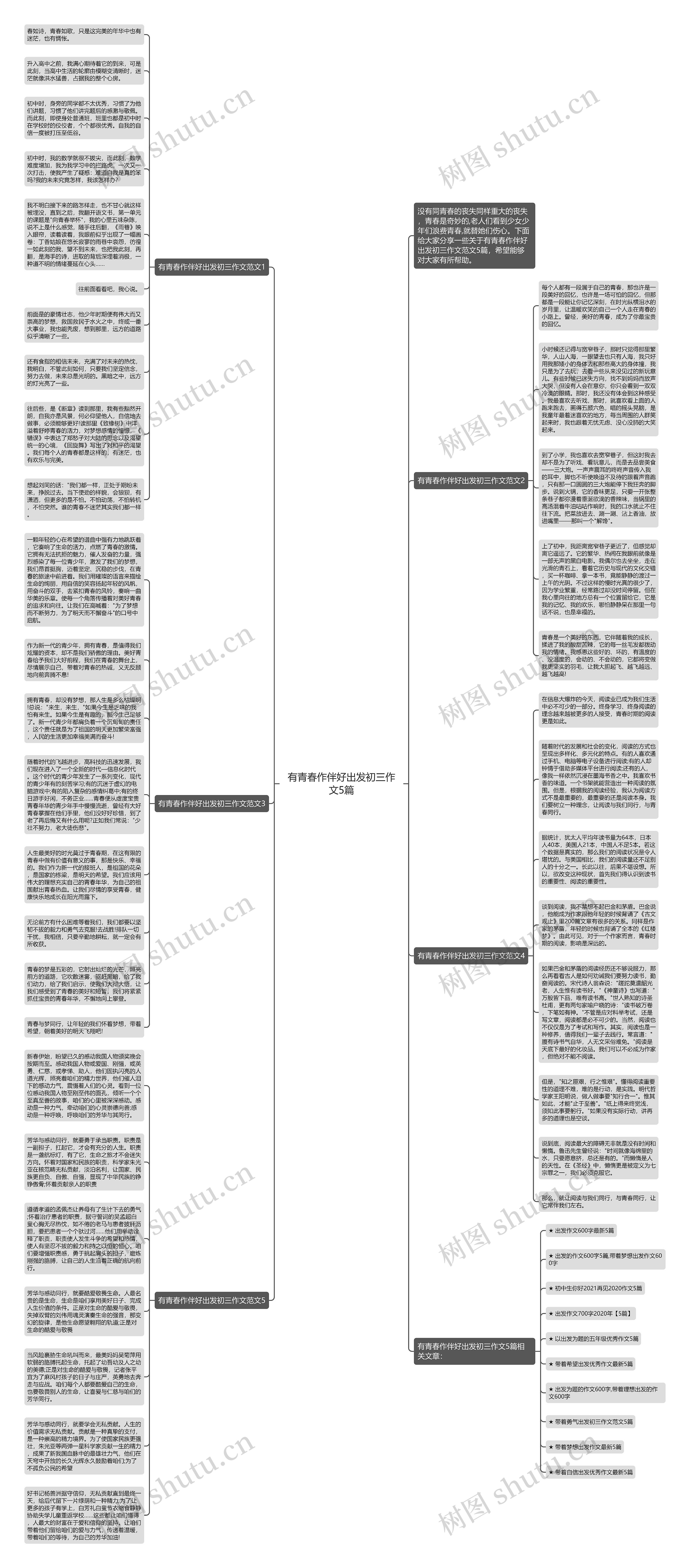 有青春作伴好出发初三作文5篇思维导图
