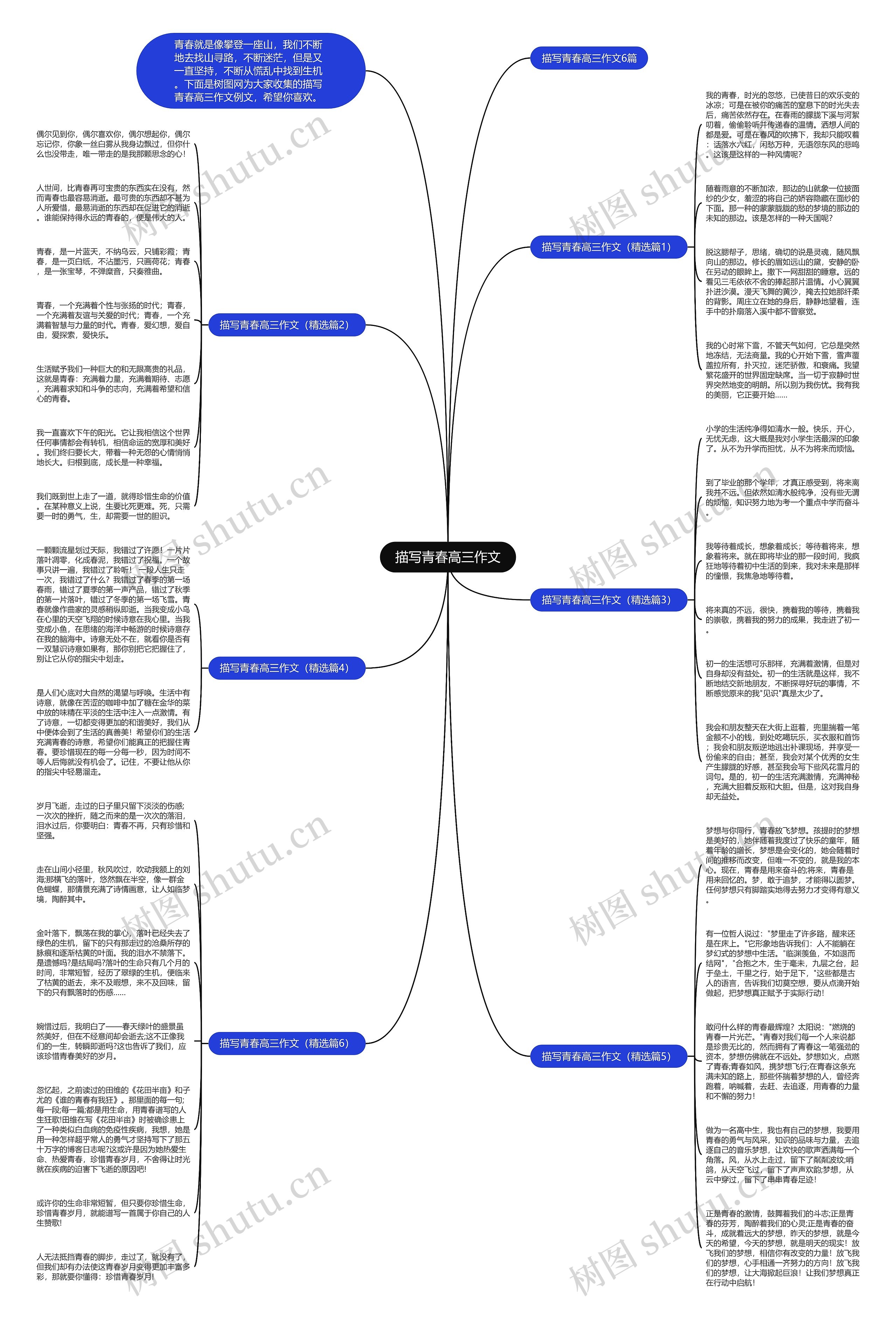 描写青春高三作文思维导图