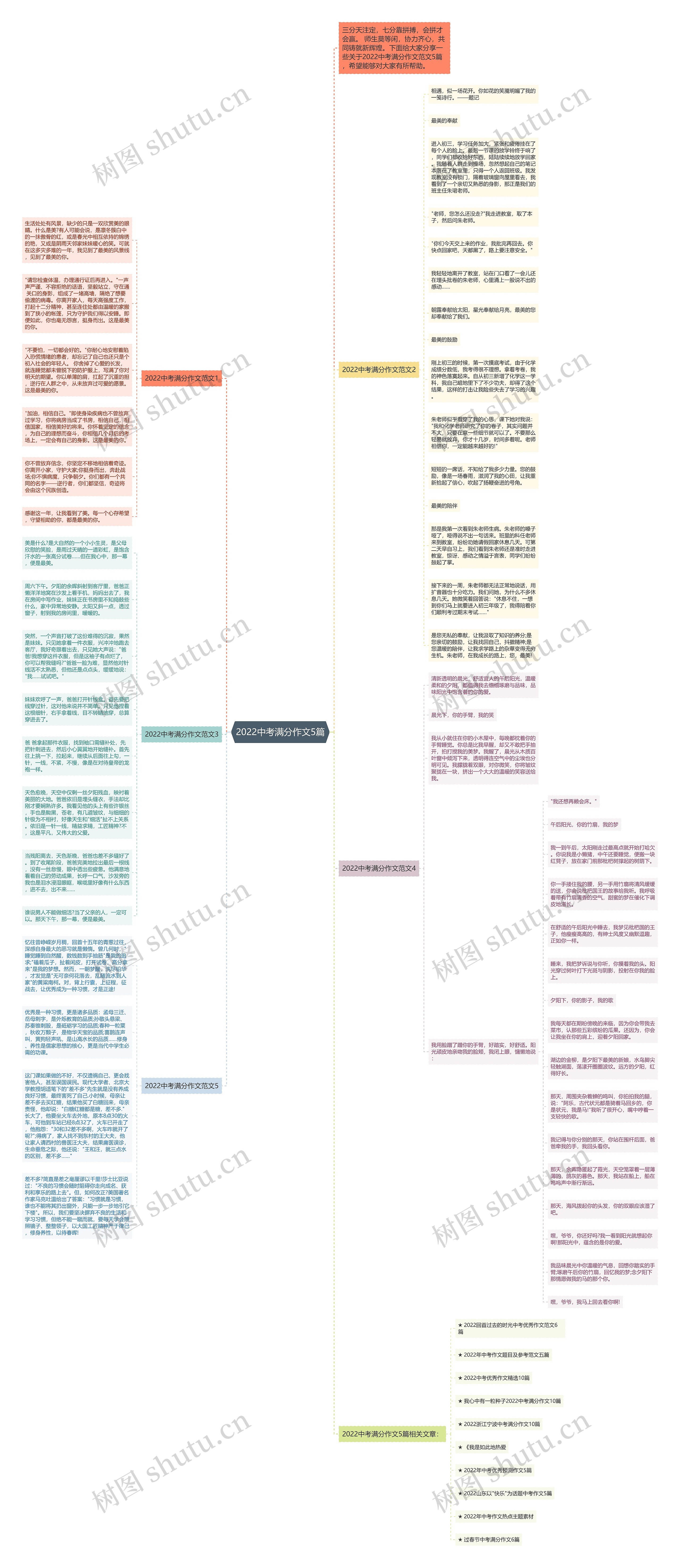 2022中考满分作文5篇思维导图