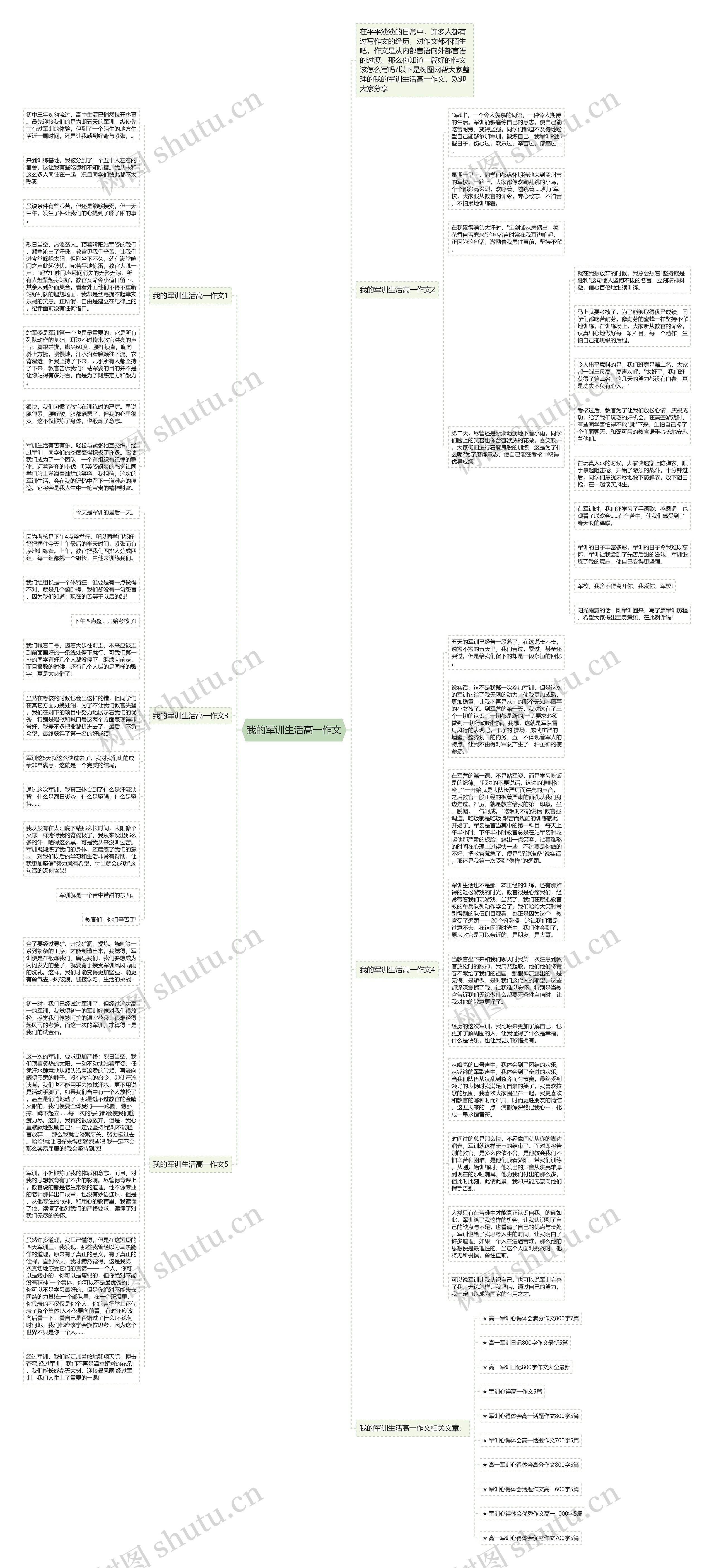 我的军训生活高一作文