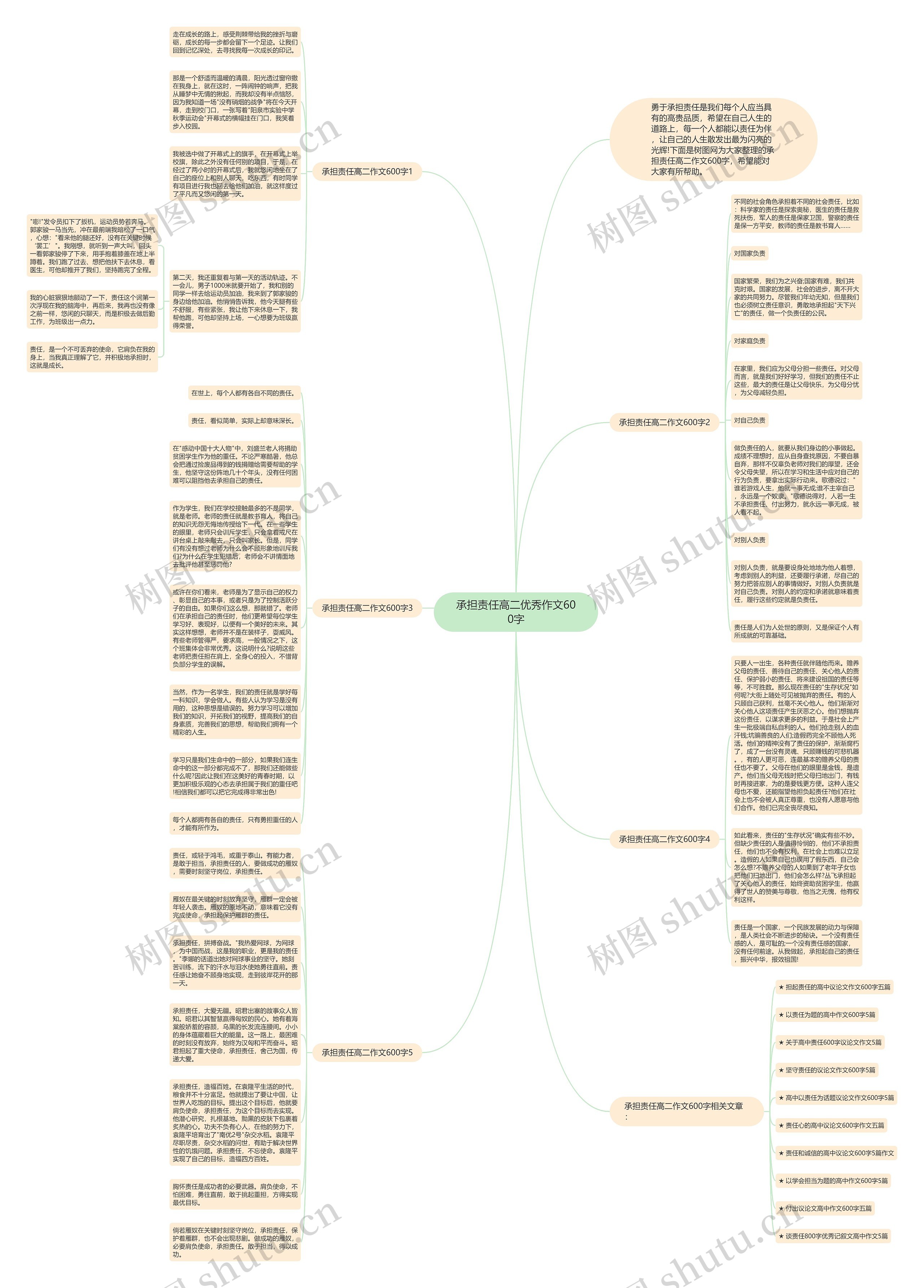 承担责任高二优秀作文600字思维导图
