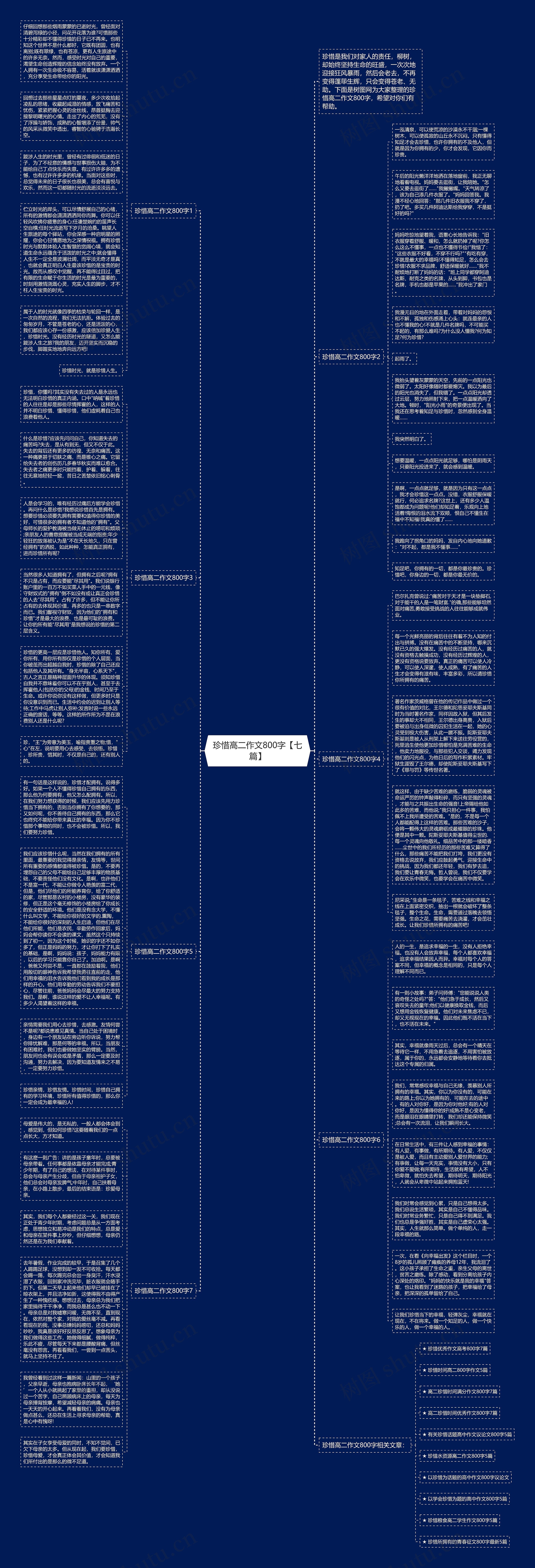 珍惜高二作文800字【七篇】思维导图