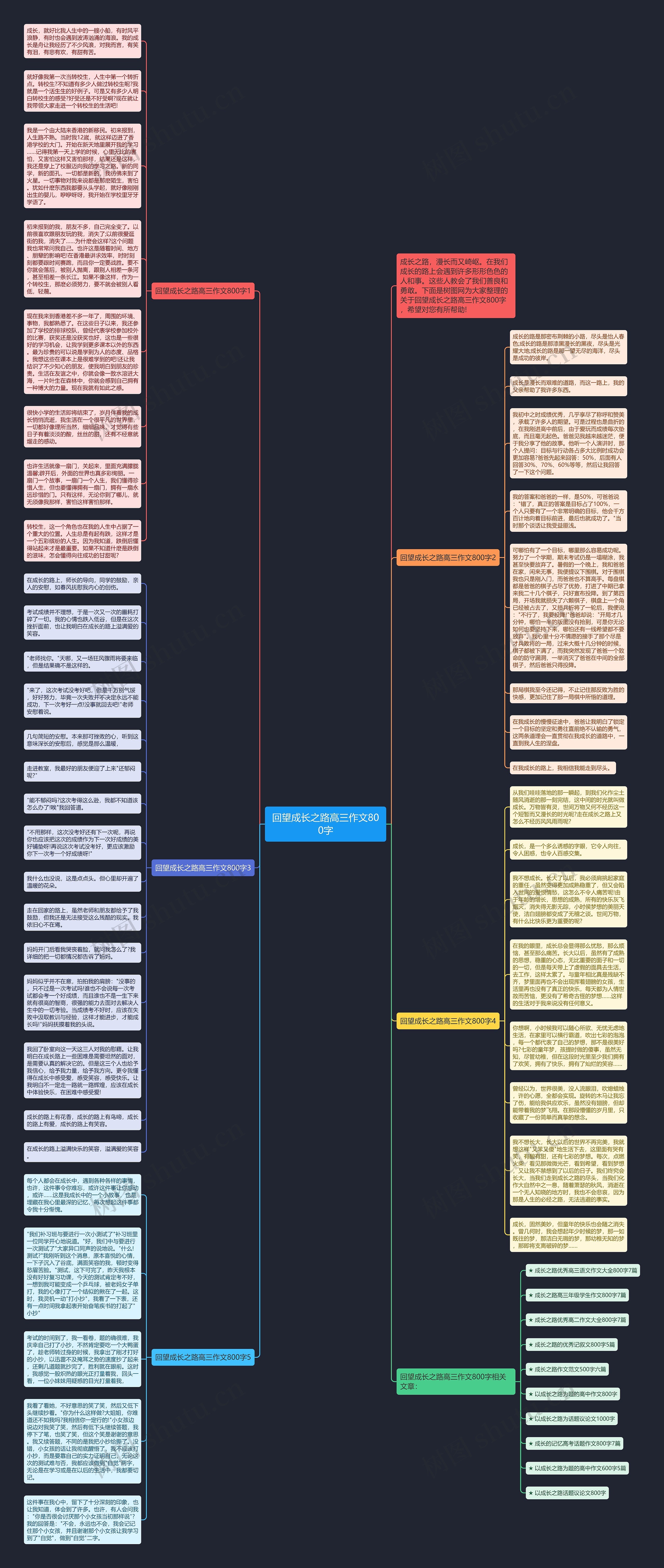回望成长之路高三作文800字思维导图