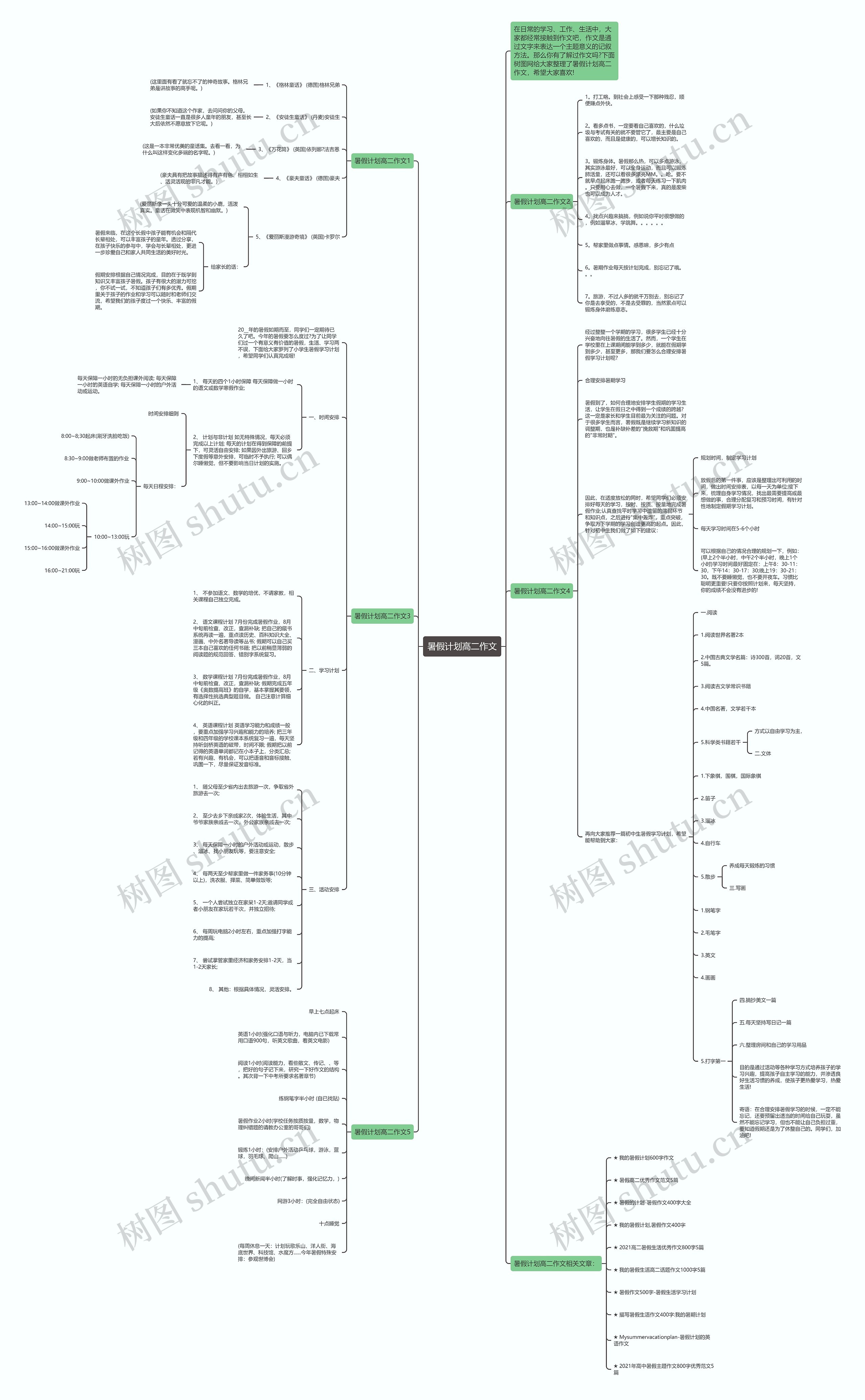 暑假计划高二作文思维导图