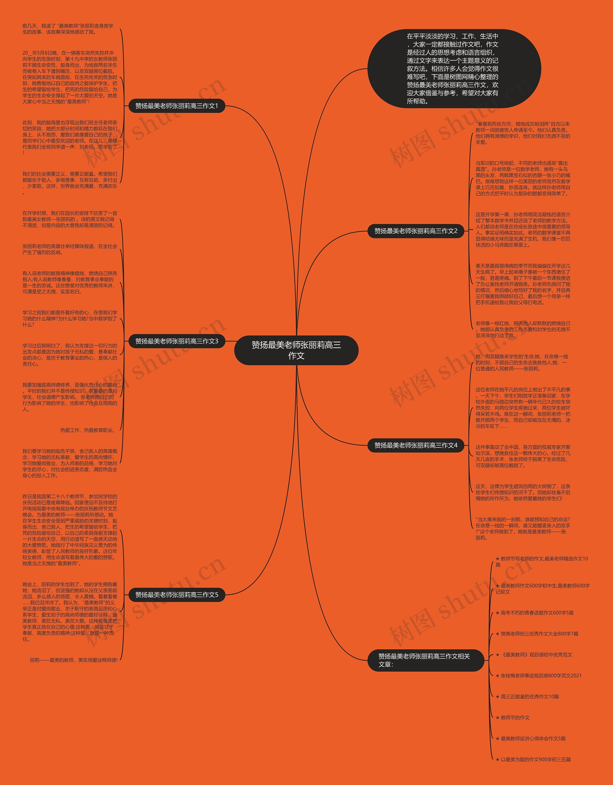 赞扬最美老师张丽莉高三作文思维导图