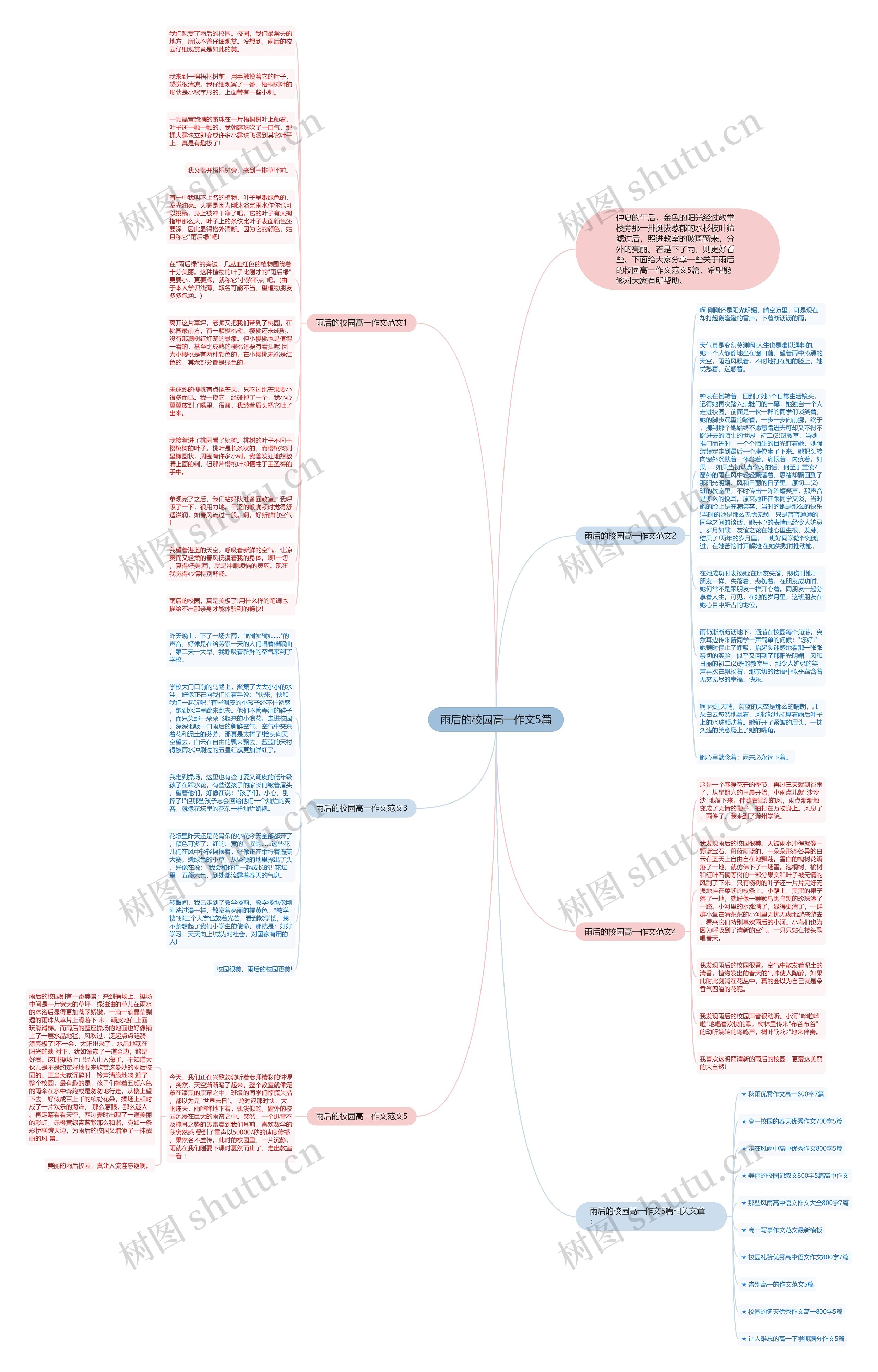 雨后的校园高一作文5篇思维导图