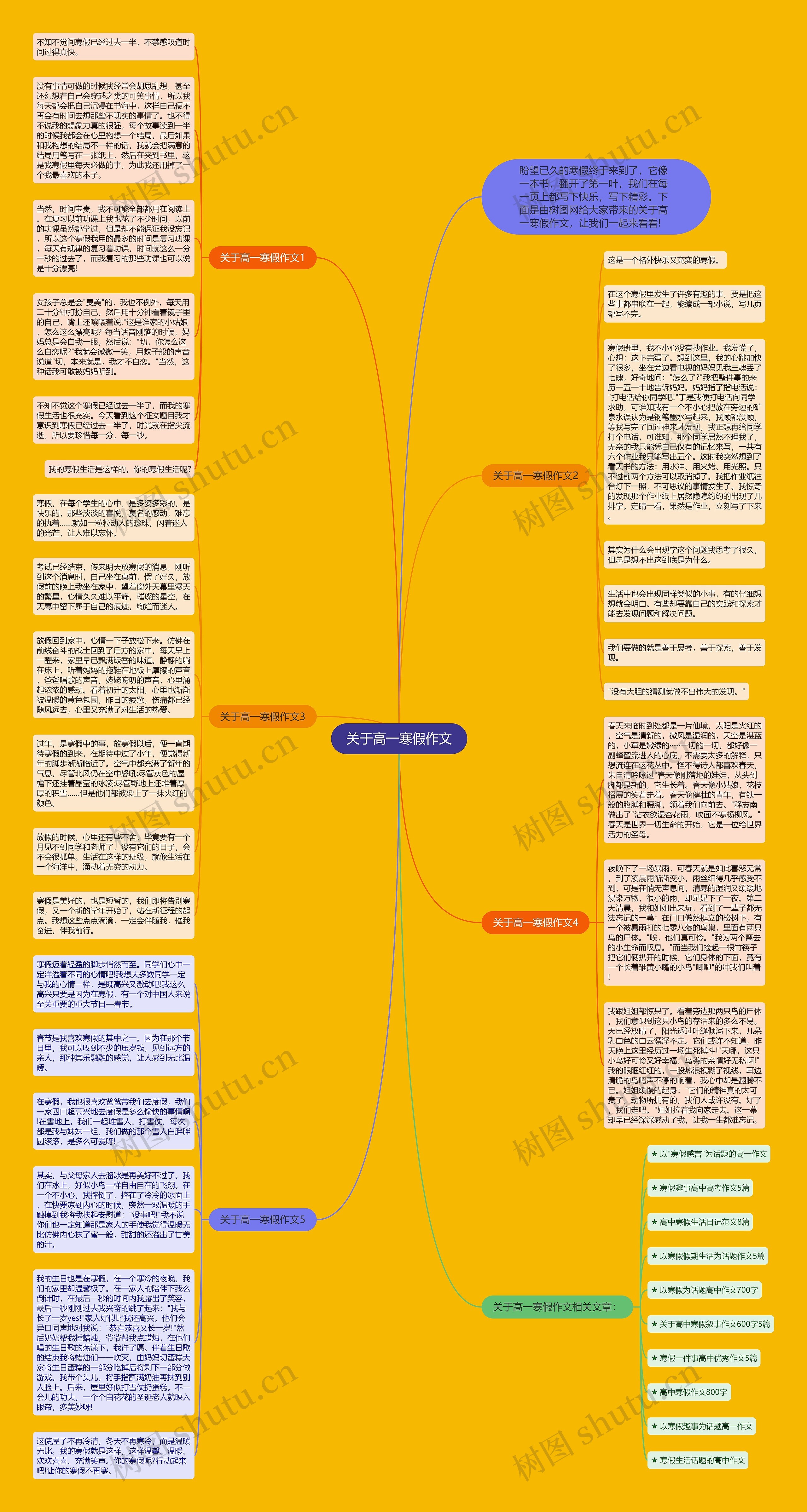 关于高一寒假作文思维导图