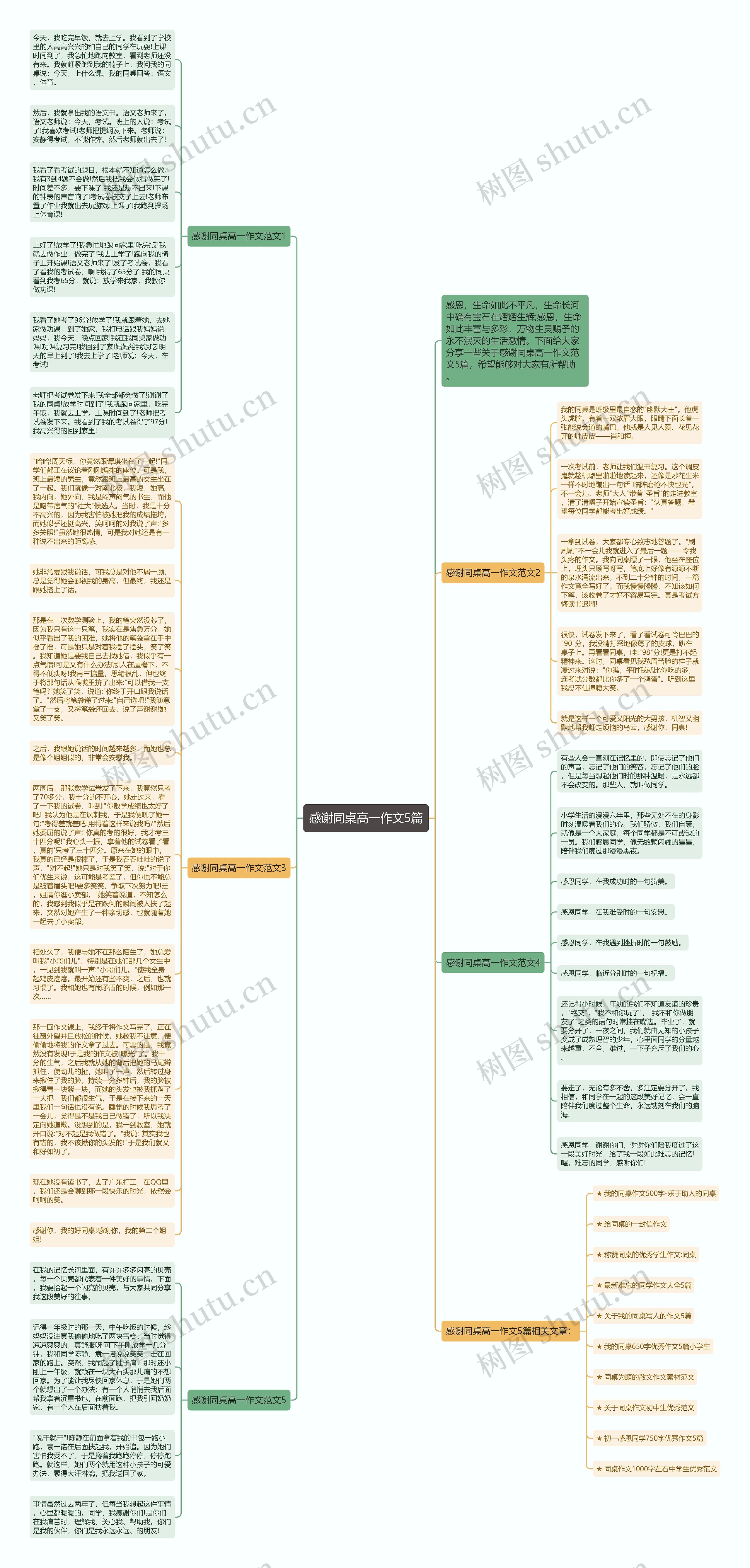 感谢同桌高一作文5篇思维导图